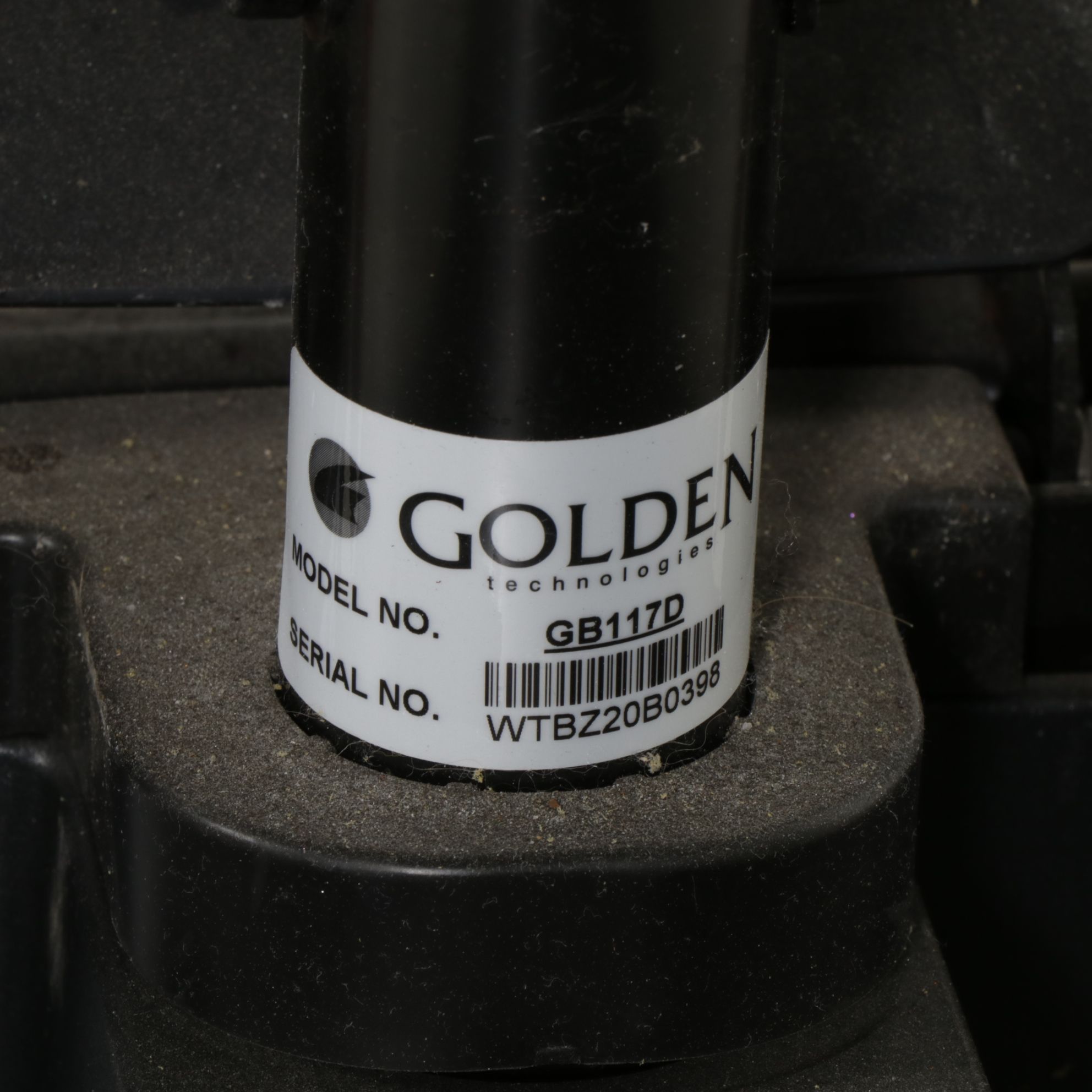 Golden Buzz Around XL Battery-Powered Three Wheeler