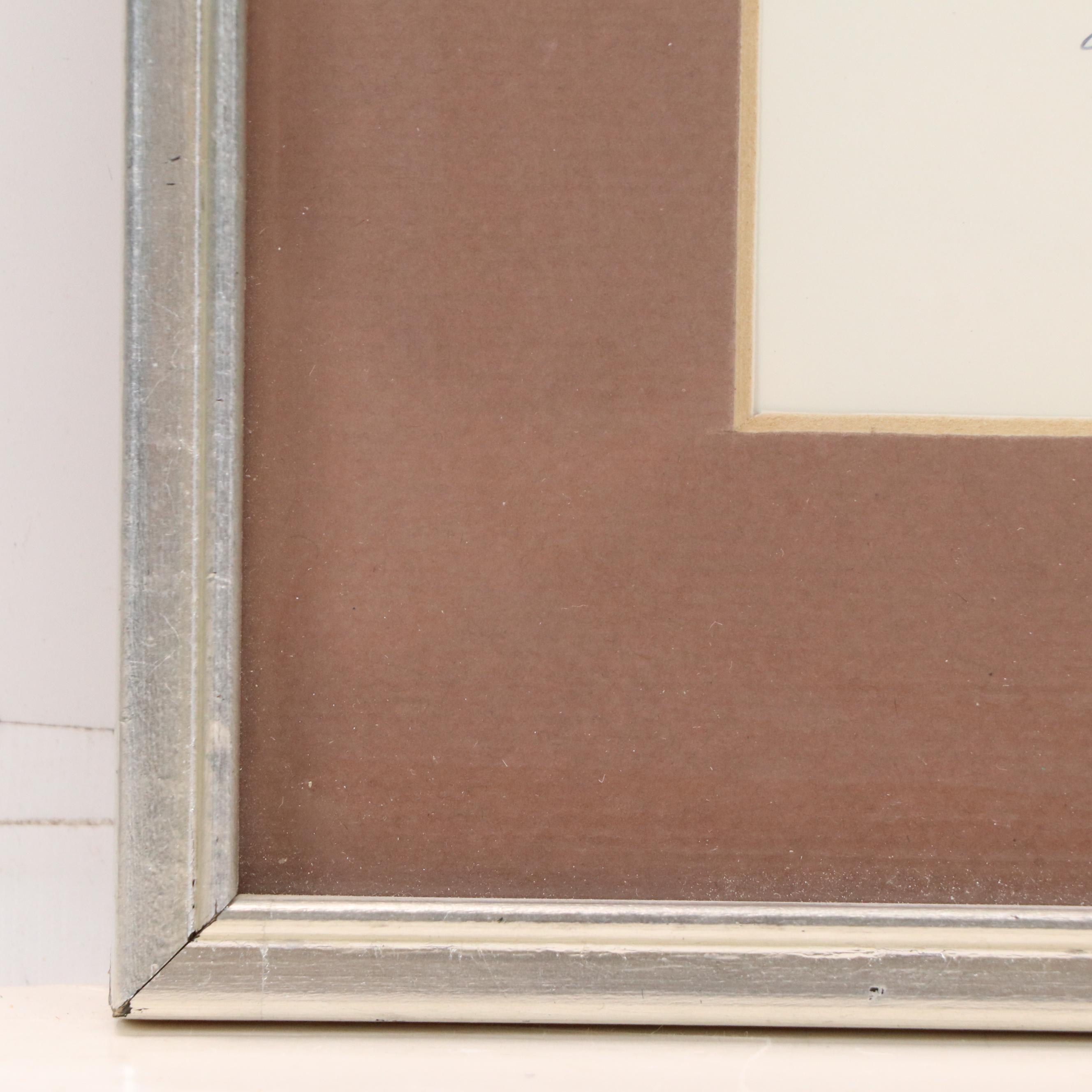 Conchological X-Ray Photographs of Fig Shell and Nautilus Shell