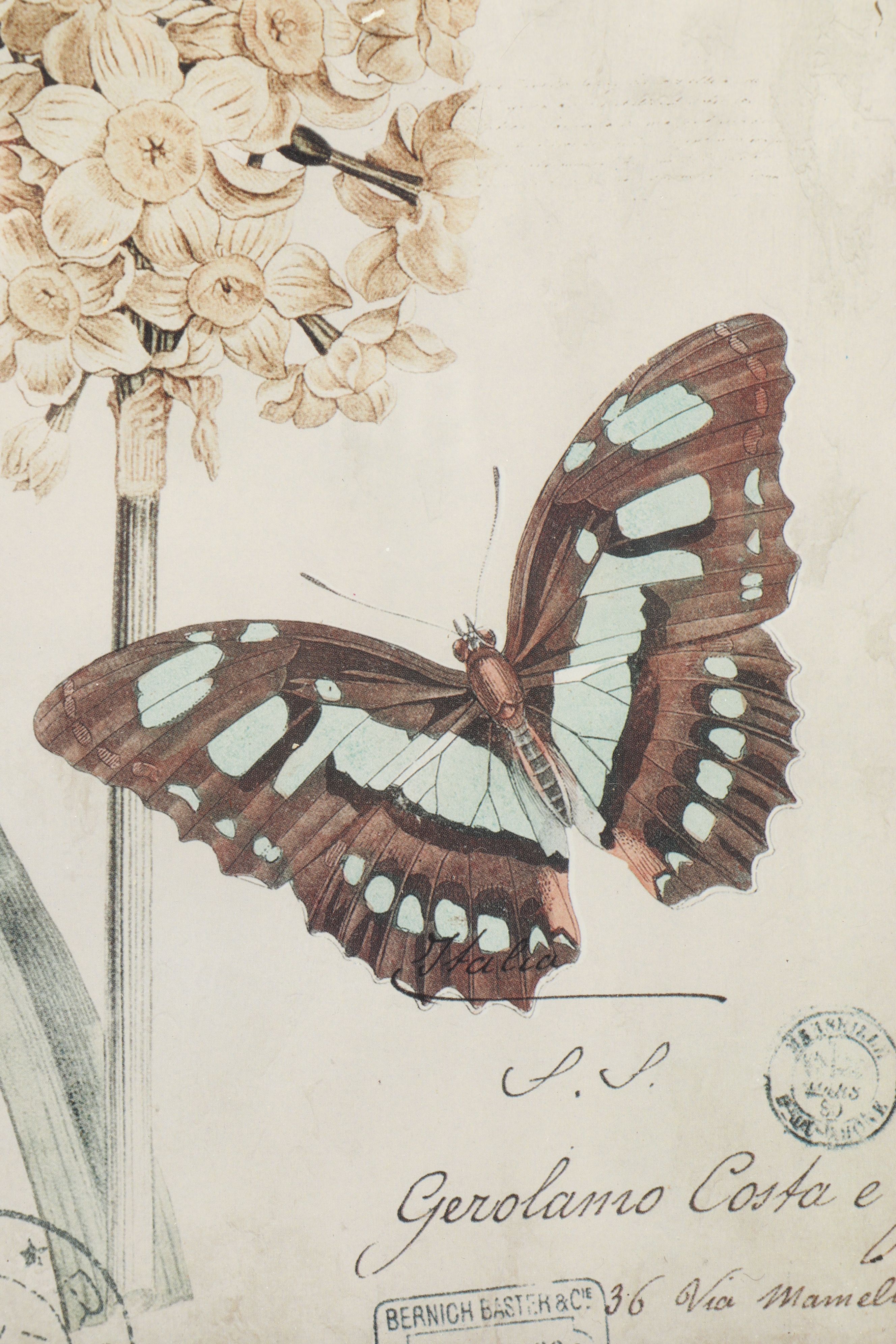 Botanical and Insect Framed Wall Art