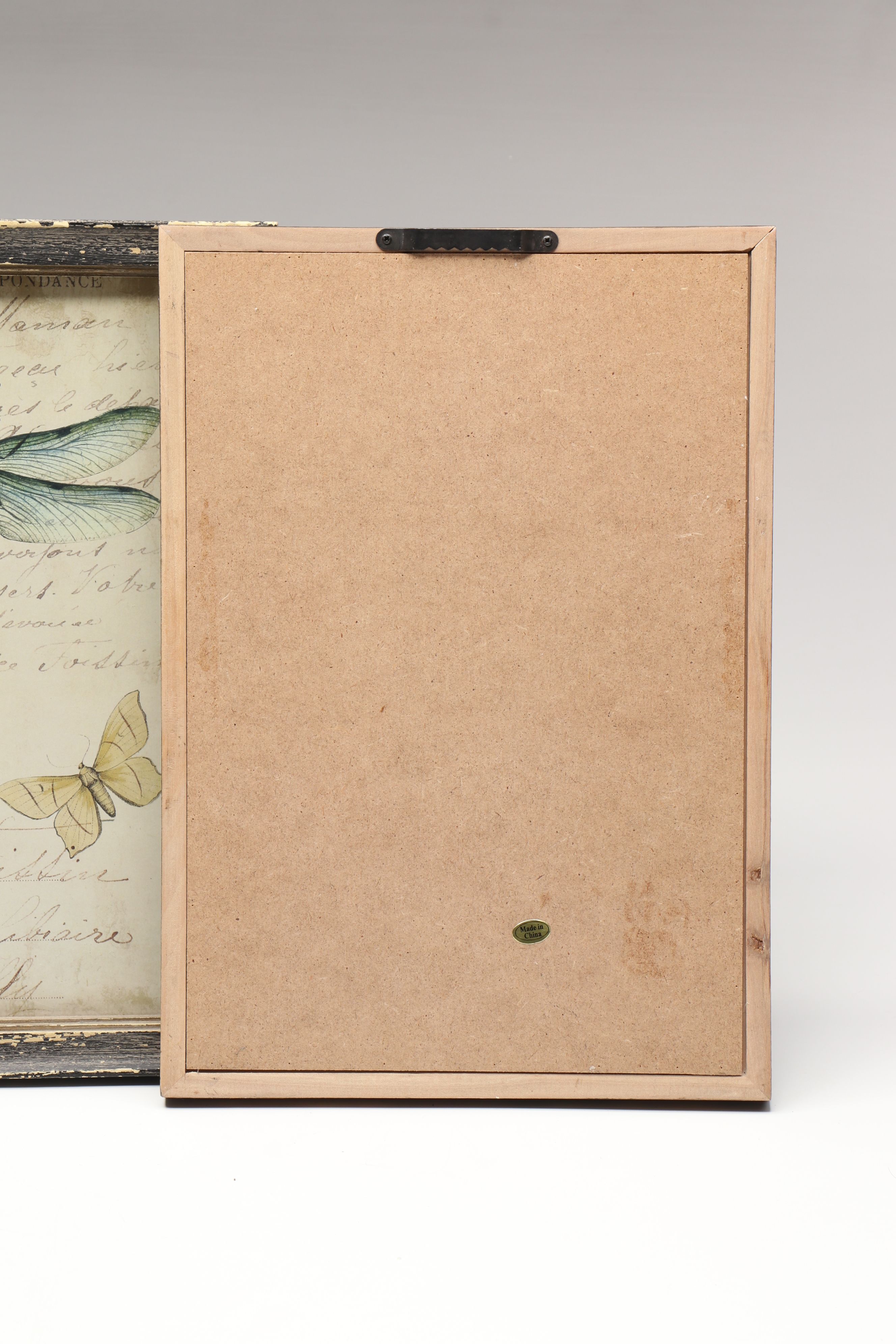 Botanical and Insect Framed Wall Art