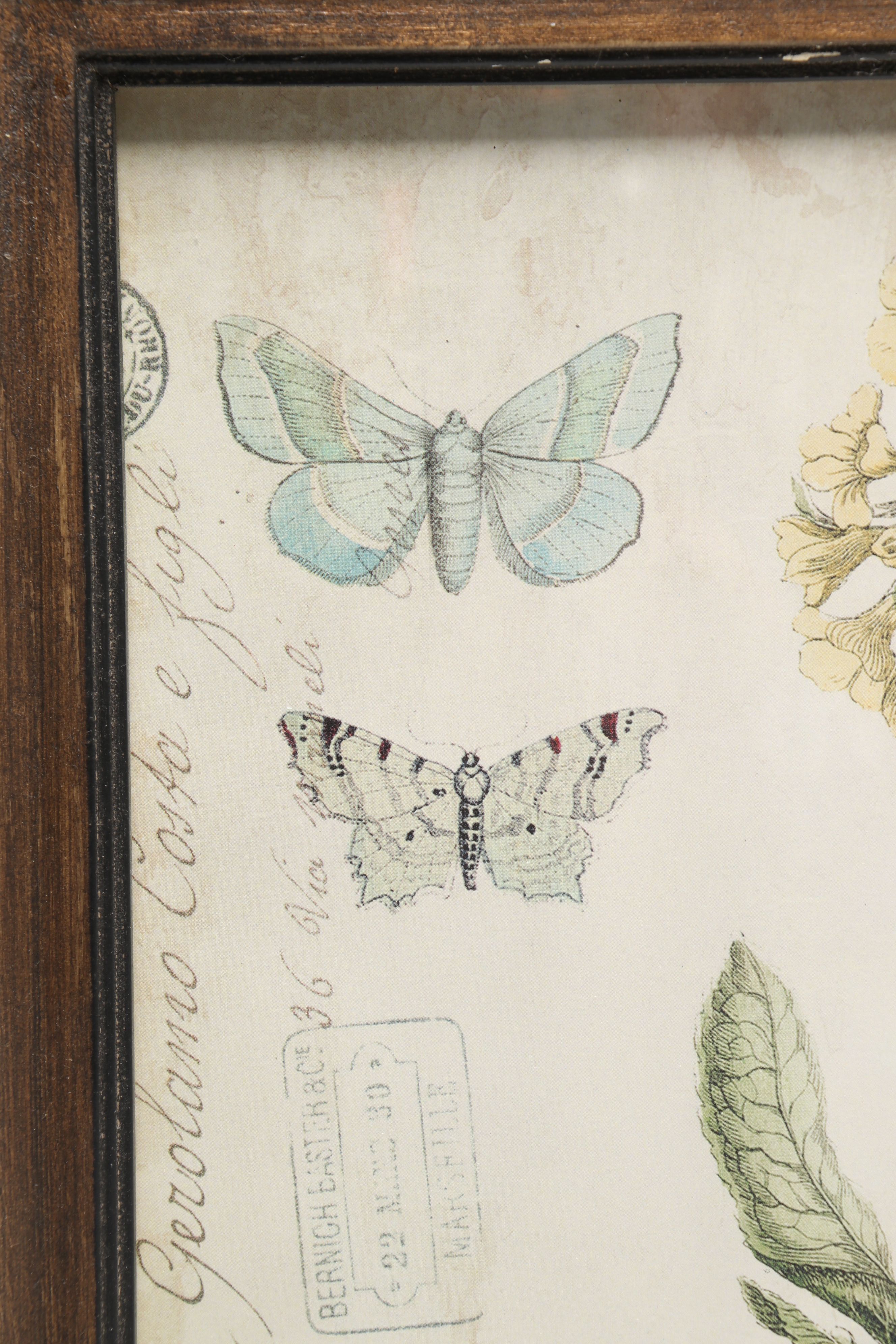 Botanical and Insect Framed Wall Art