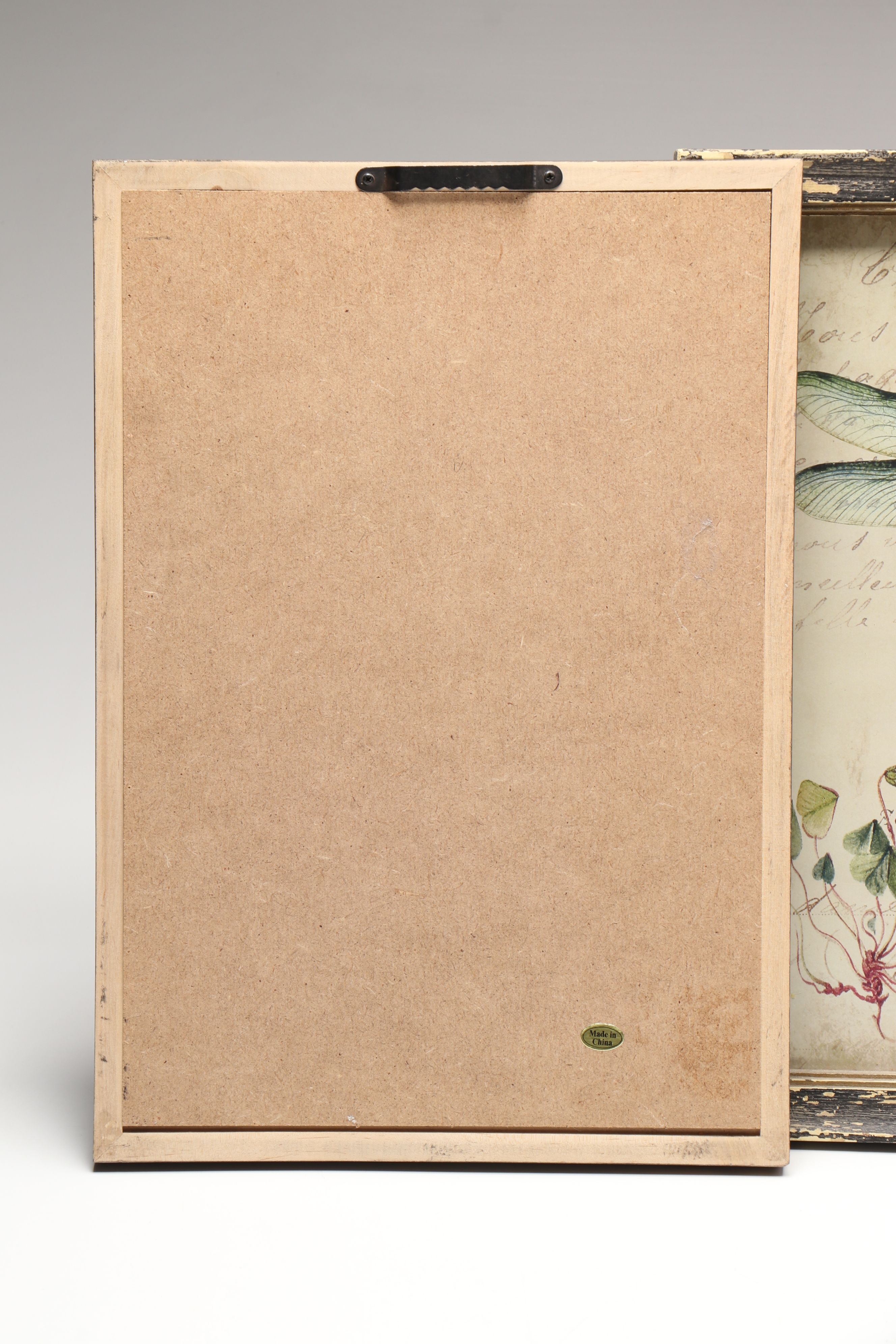 Botanical and Insect Framed Wall Art