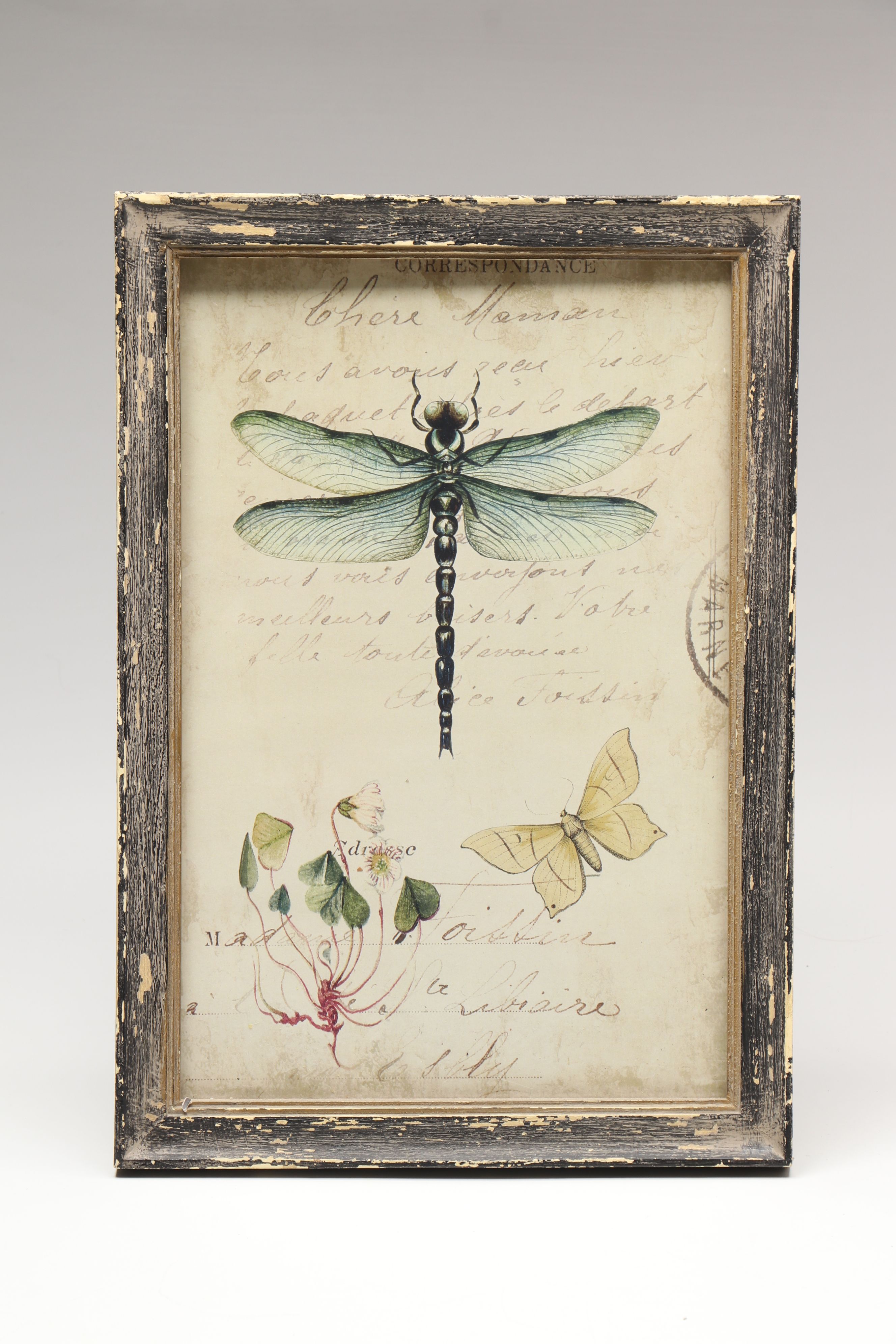 Botanical and Insect Framed Wall Art