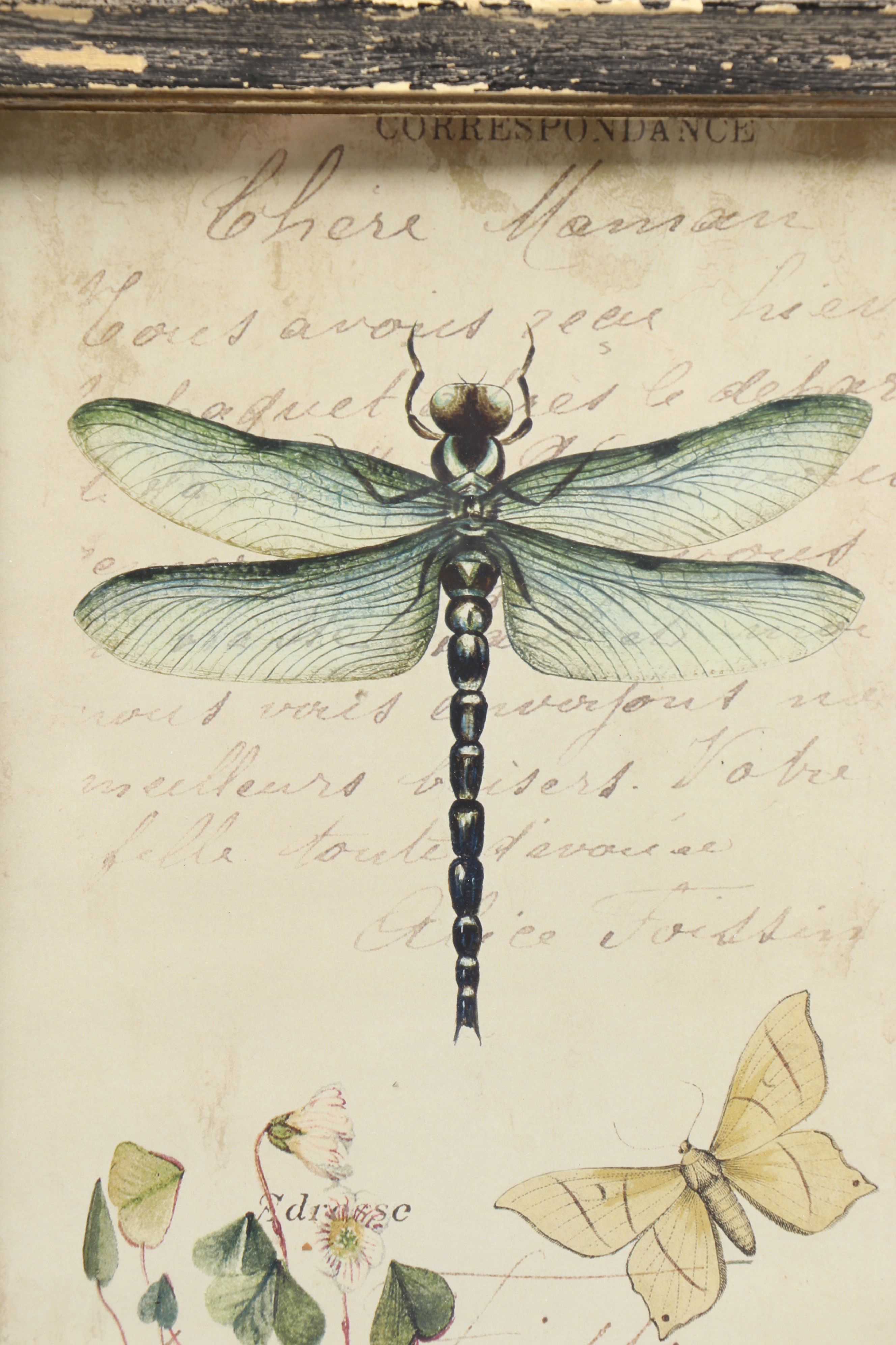 Botanical and Insect Framed Wall Art