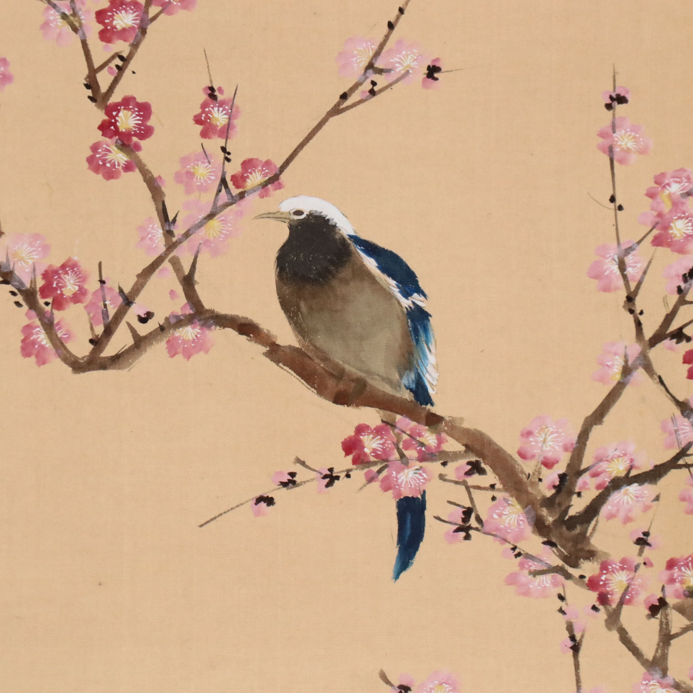 Chinese School Gouache Painting Scroll of Birds with Plum Blossoms