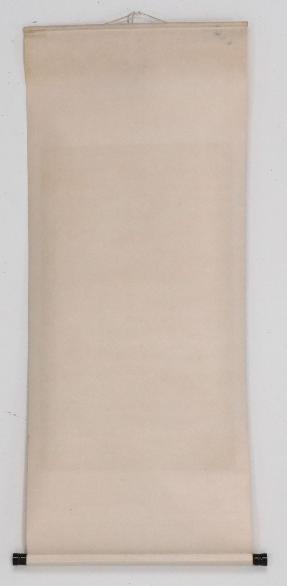 Chinese School Gouache Painting Scroll of Birds with Plum Blossoms