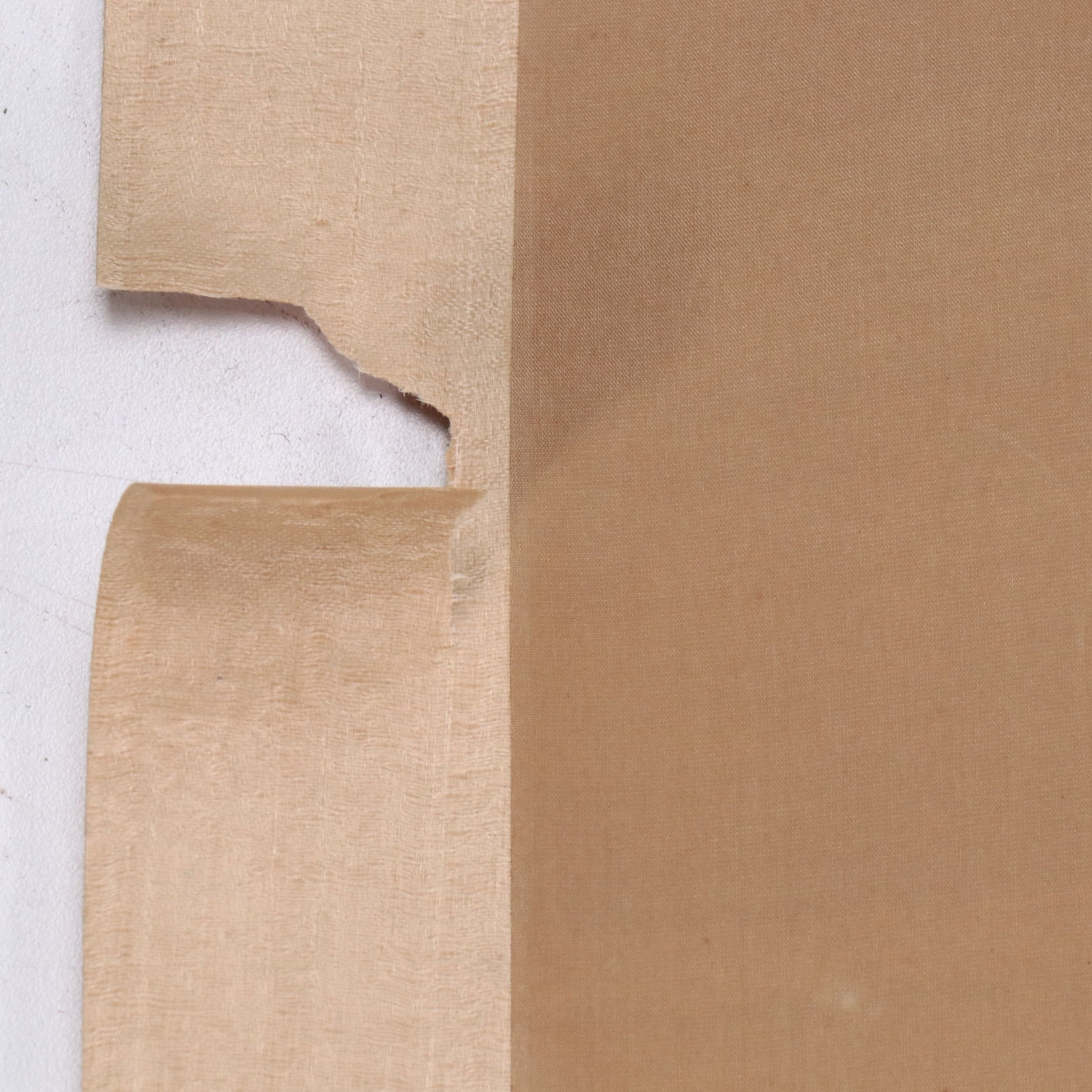 Japanese Watercolor Scroll of Plum Flowers and Birds, Late 19th Century