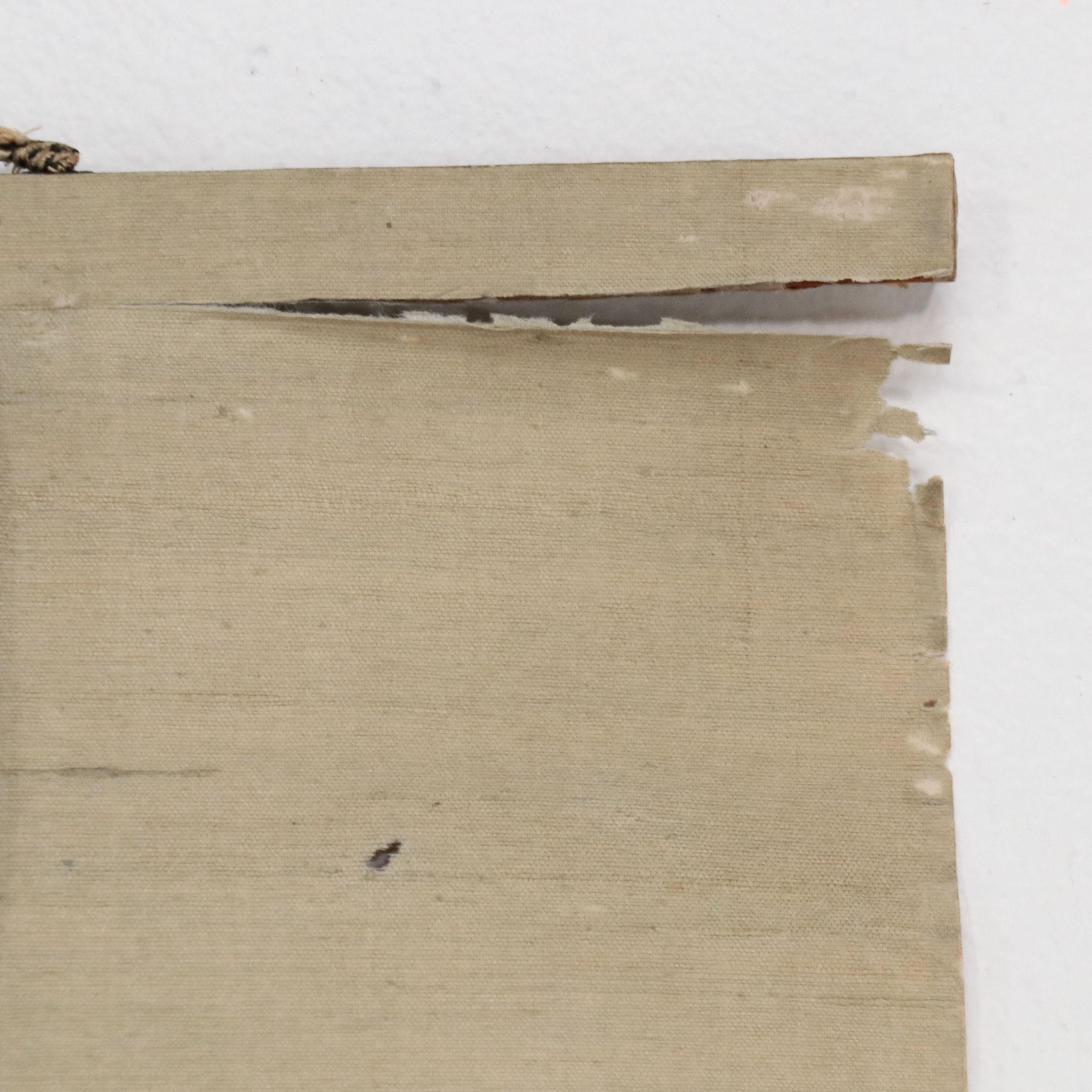 Japanese School Scroll with Watercolor Painting of Blossoms and Moon