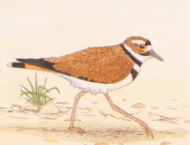 Various Animal Art Prints and Painting, Late 20th Century