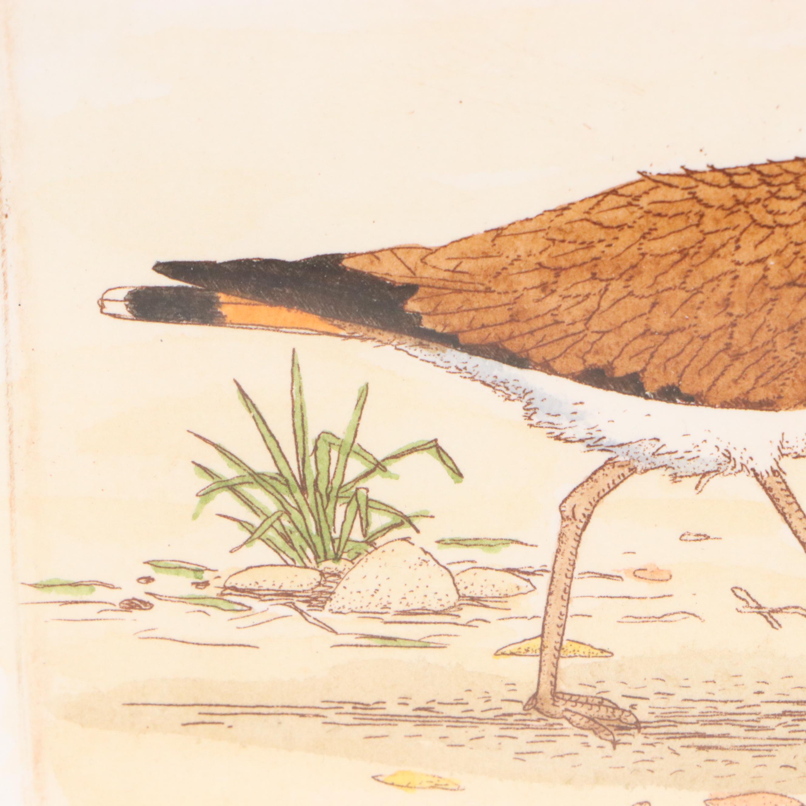 Various Animal Art Prints and Painting, Late 20th Century