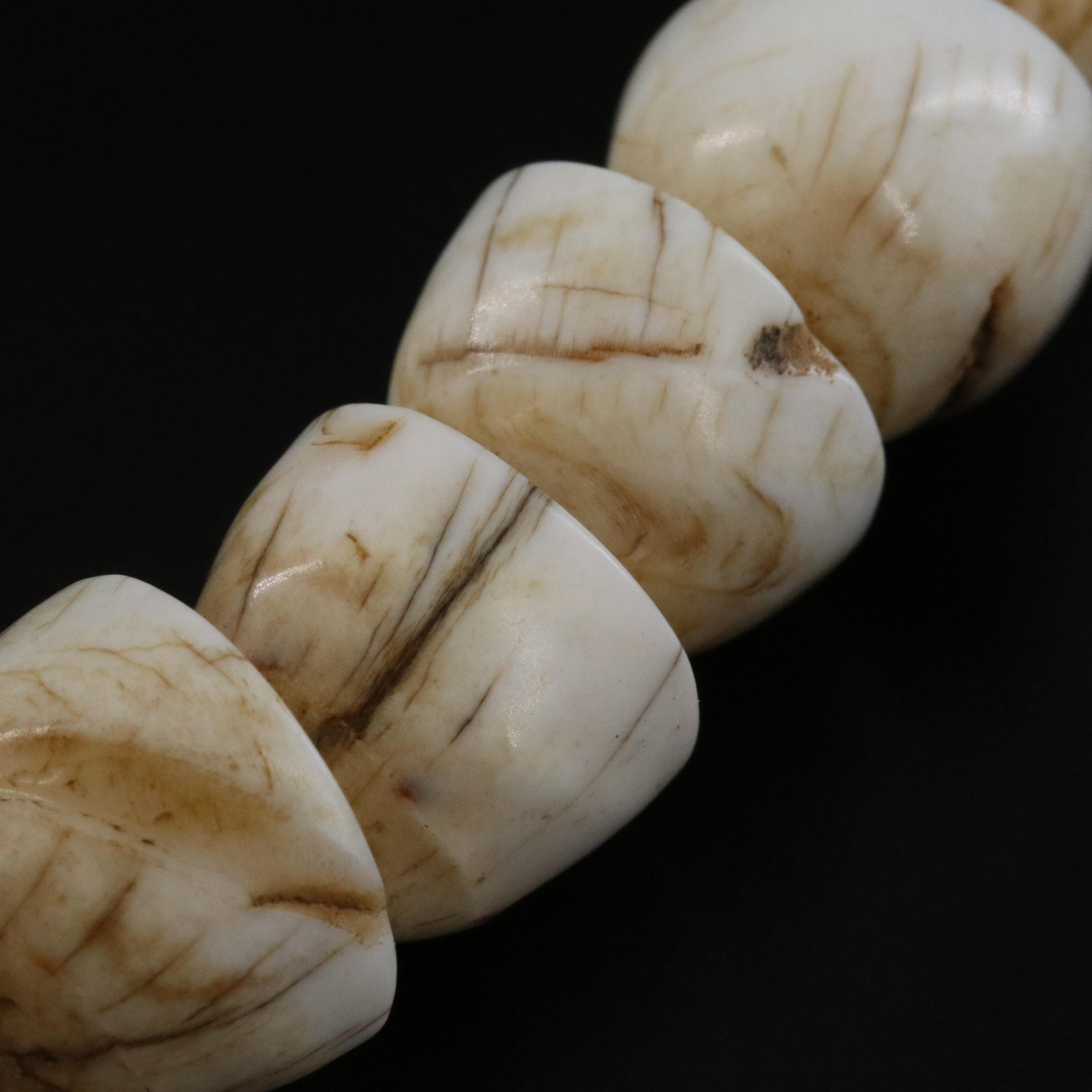 Naga Chank Shell and Boar Tusk Necklace