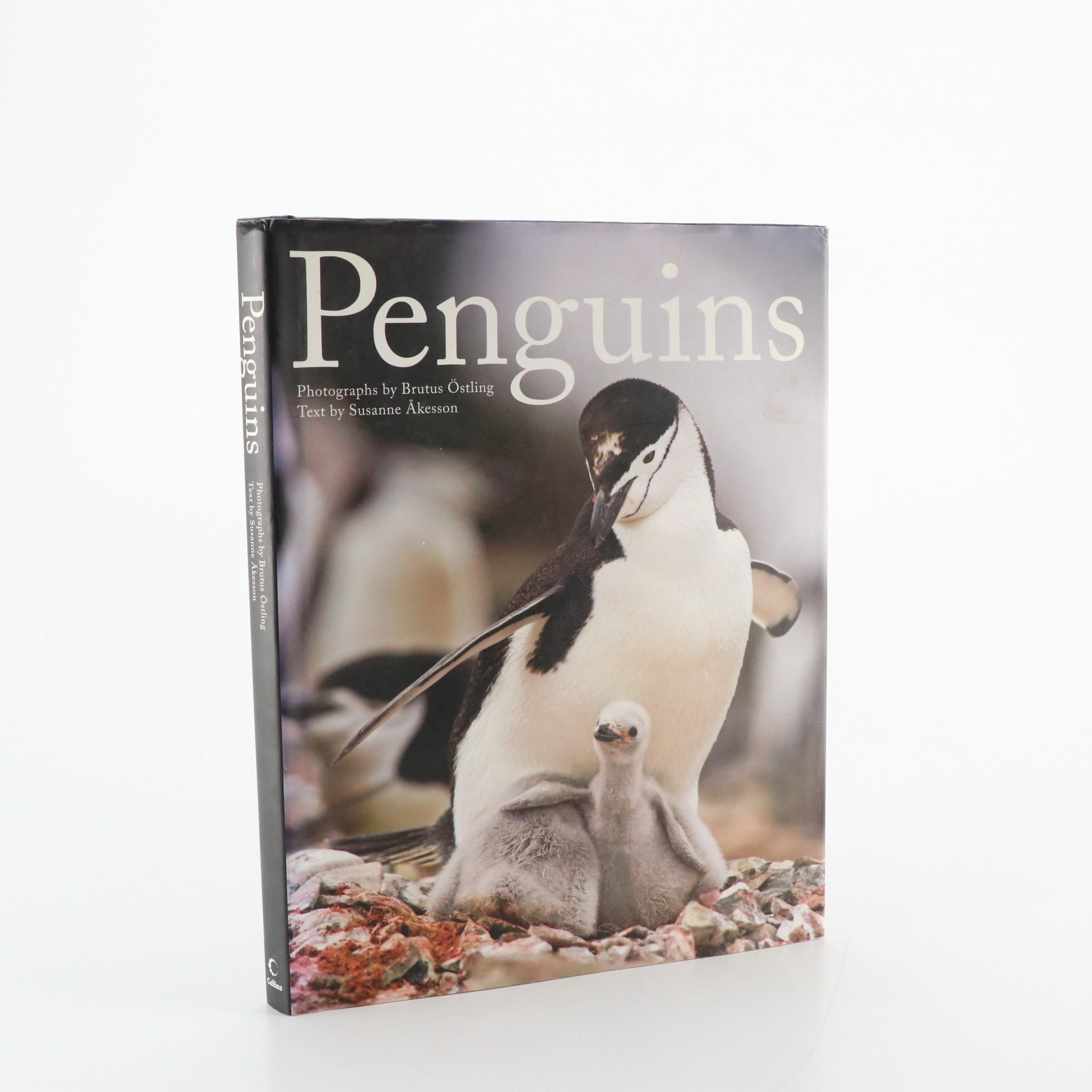 John A. Ruthven Signed "In Search of the Ivory-Billed Woodpecker" and More Books