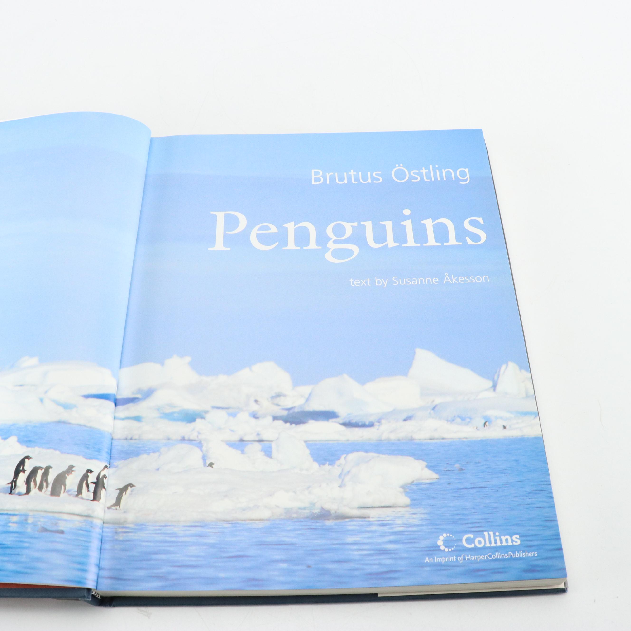 John A. Ruthven Signed "In Search of the Ivory-Billed Woodpecker" and More Books