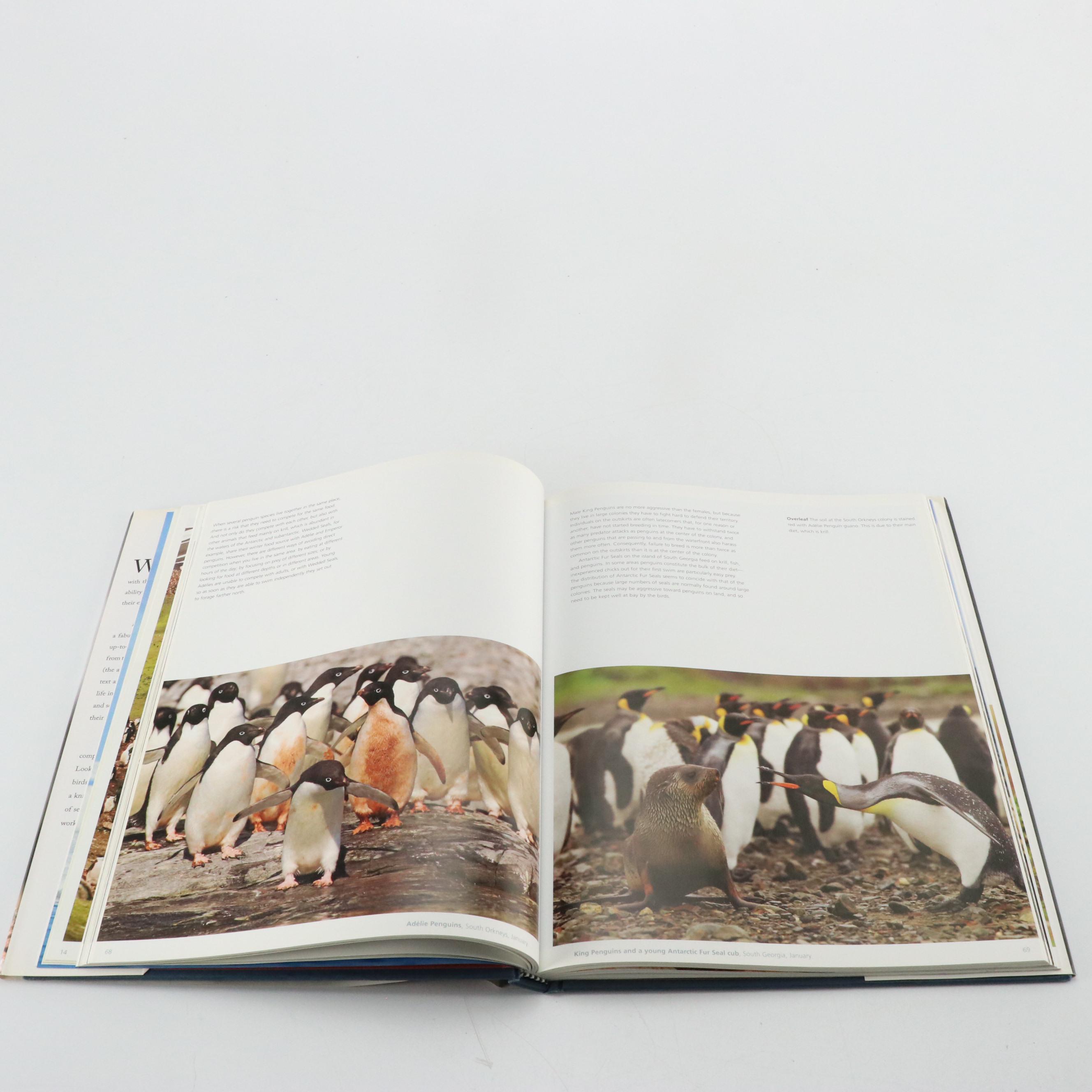 John A. Ruthven Signed "In Search of the Ivory-Billed Woodpecker" and More Books