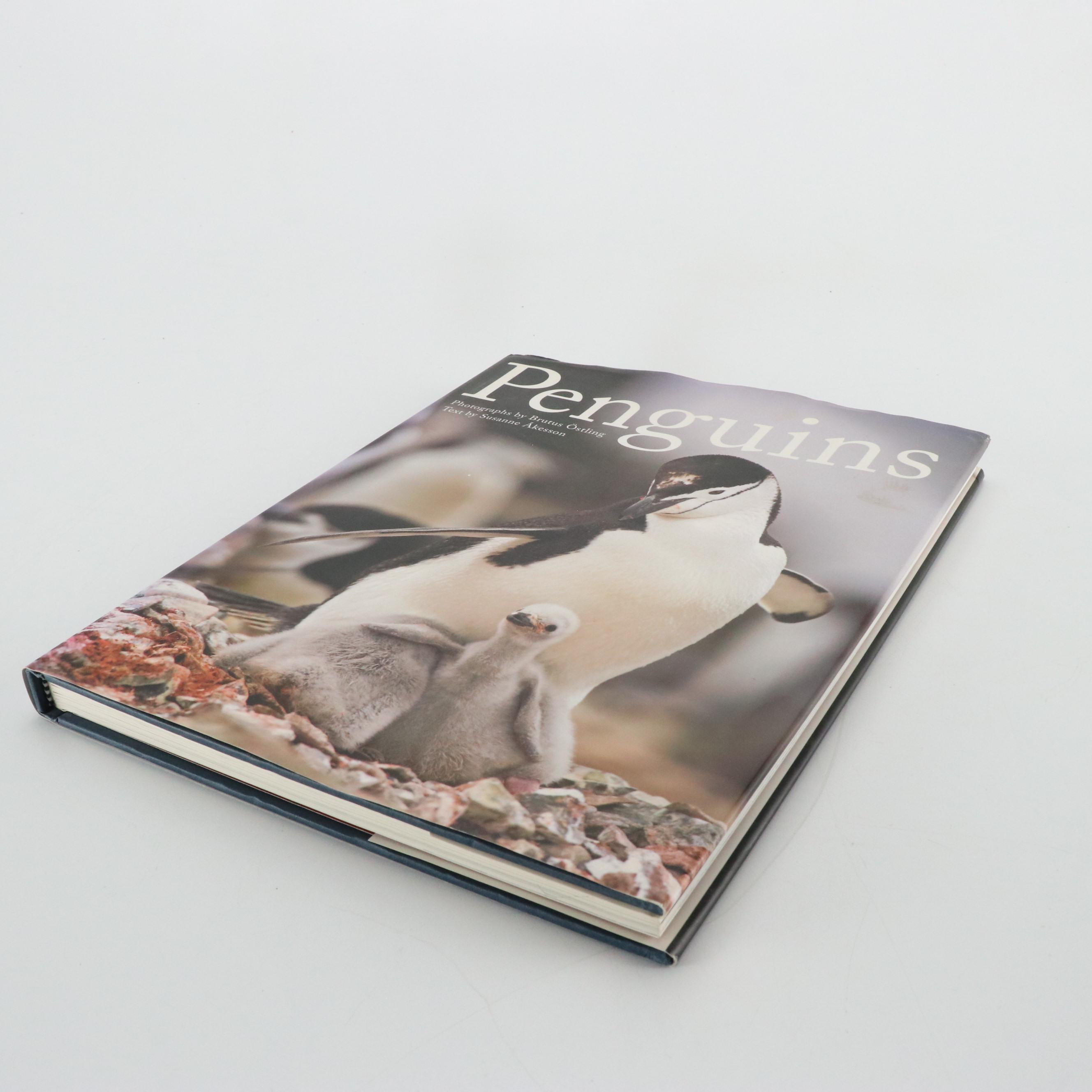 John A. Ruthven Signed "In Search of the Ivory-Billed Woodpecker" and More Books