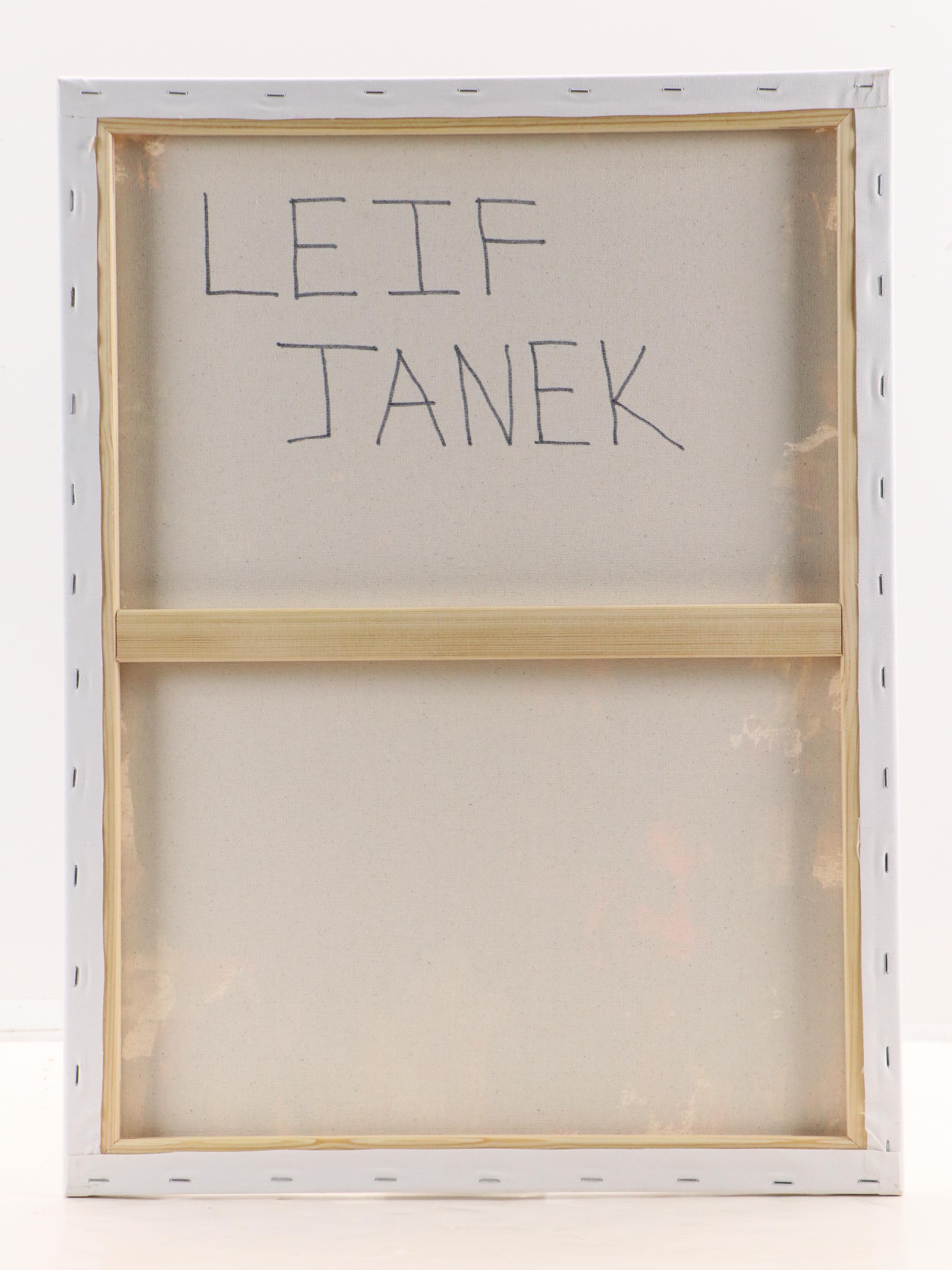 Leif Janek Abstract Acrylic Painting