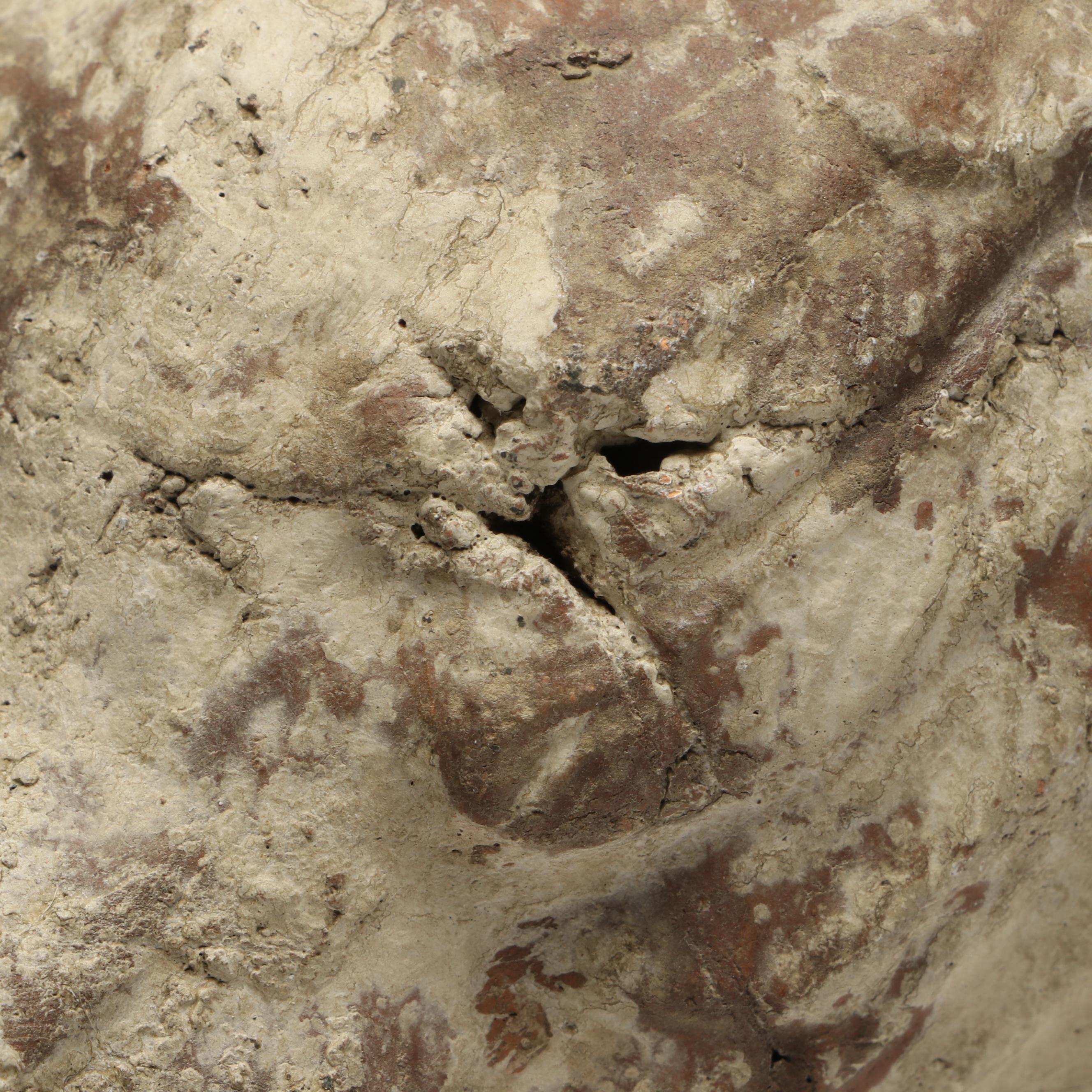 Lindsay Marie Gilt Distressed Rabbit Shelf with Distressed Bird Figurines