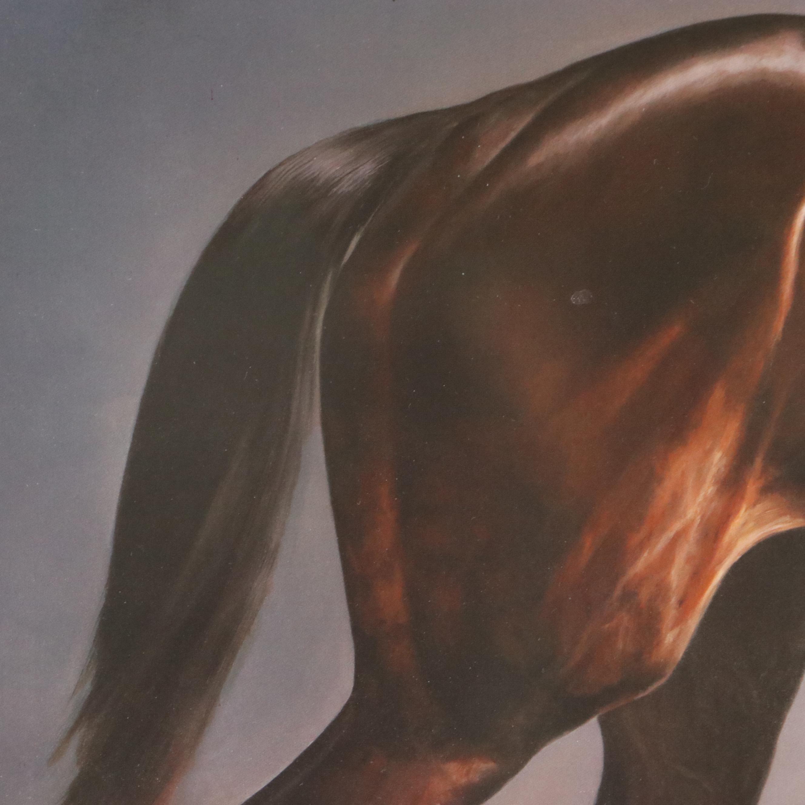 Offset Lithograph After Jamie Corum "Zenyatta," 2011