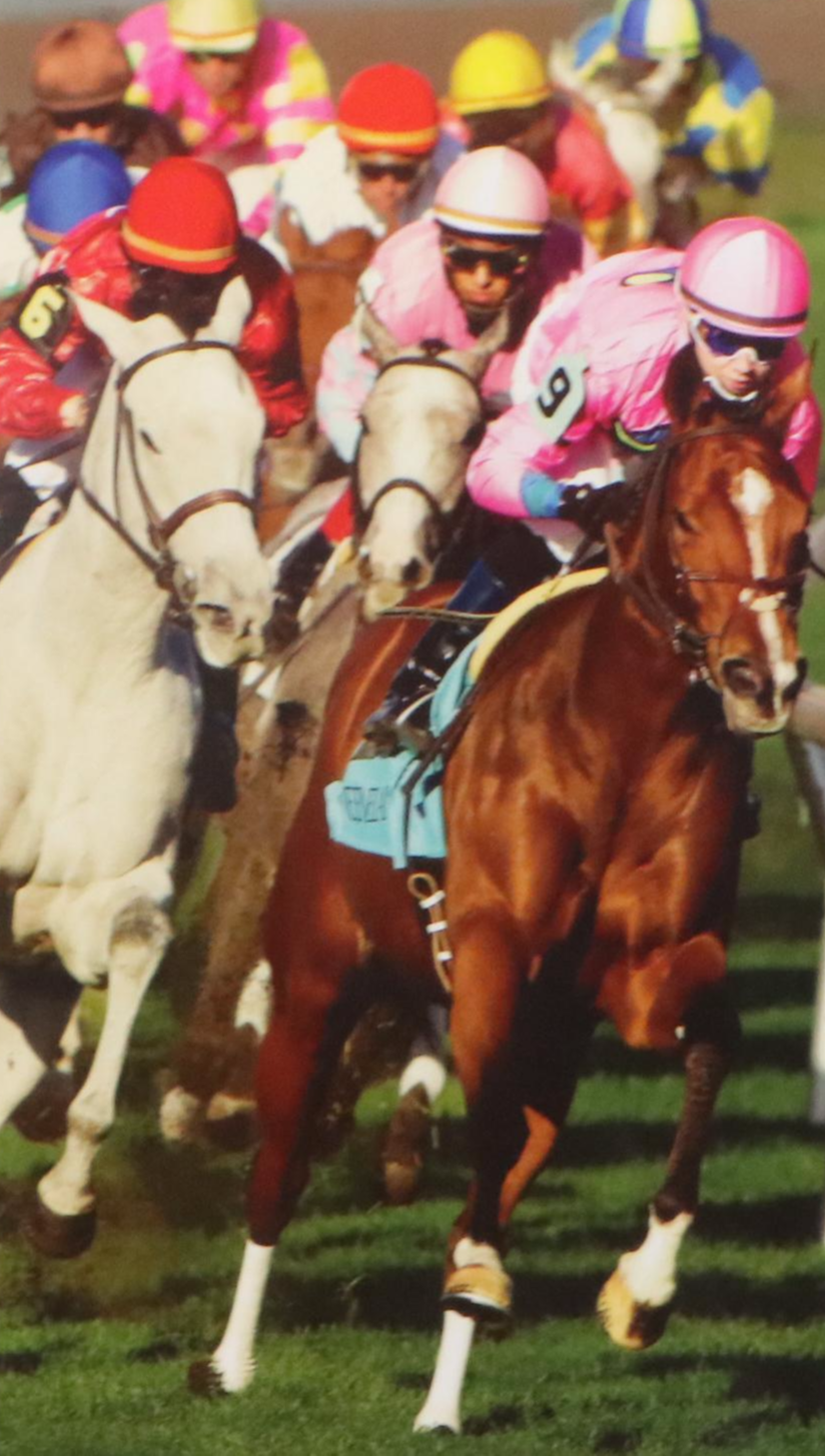 Horce Racing Commemorative Offset Lithograph Poster "April 3 -24"