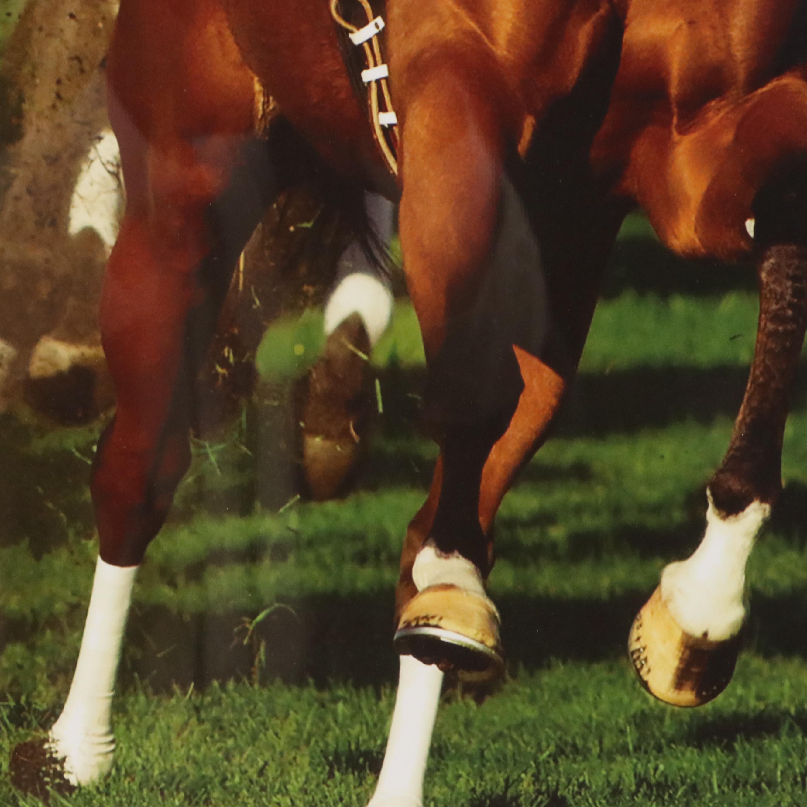 Horce Racing Commemorative Offset Lithograph Poster "April 3 -24"