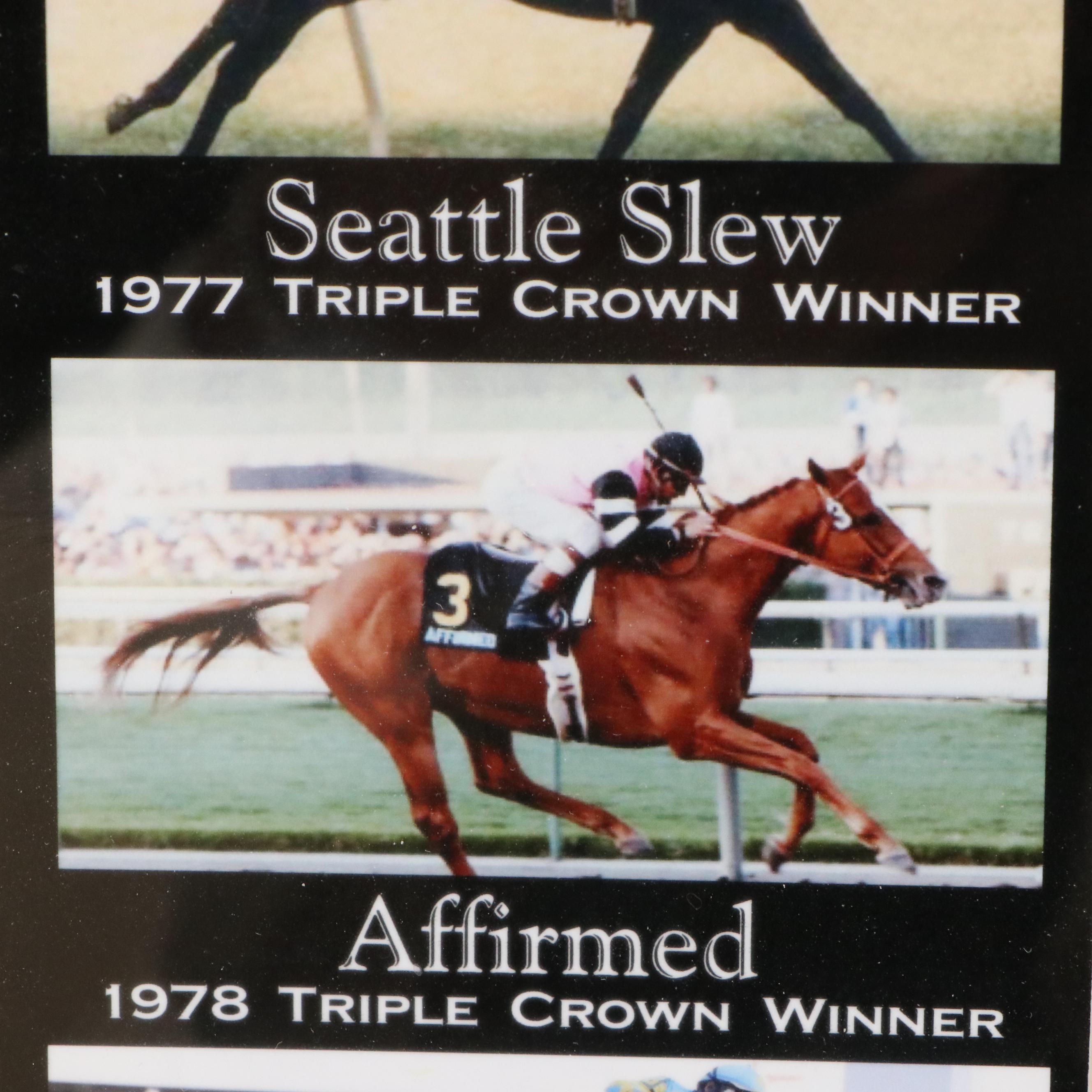 2015 Triple Crown Winner American Pharoah and More in Digital Photo Montage