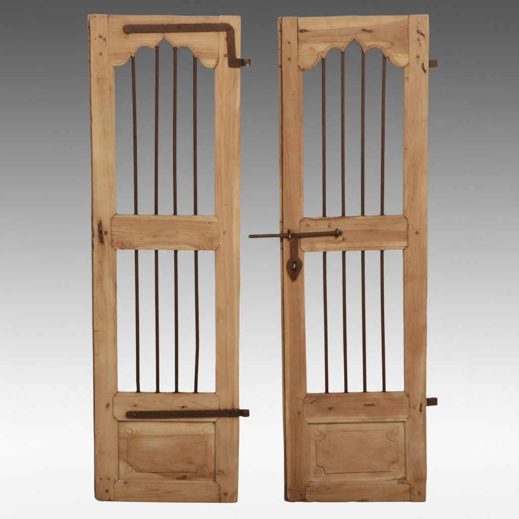 Pair of Indian Carved Wood and Iron Jali Doors