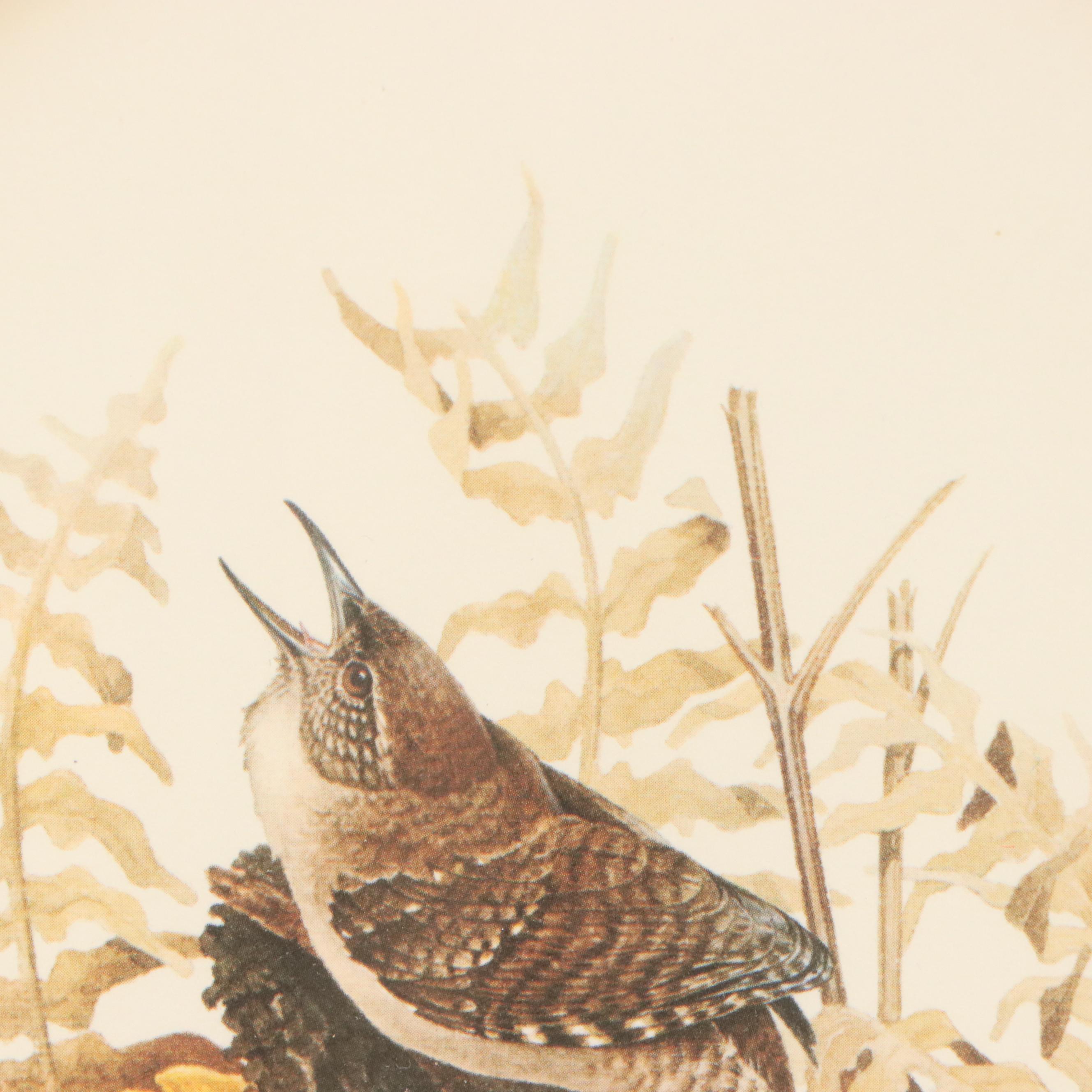 Don Whitlatch Offset Lithograph "House Wren," 1973