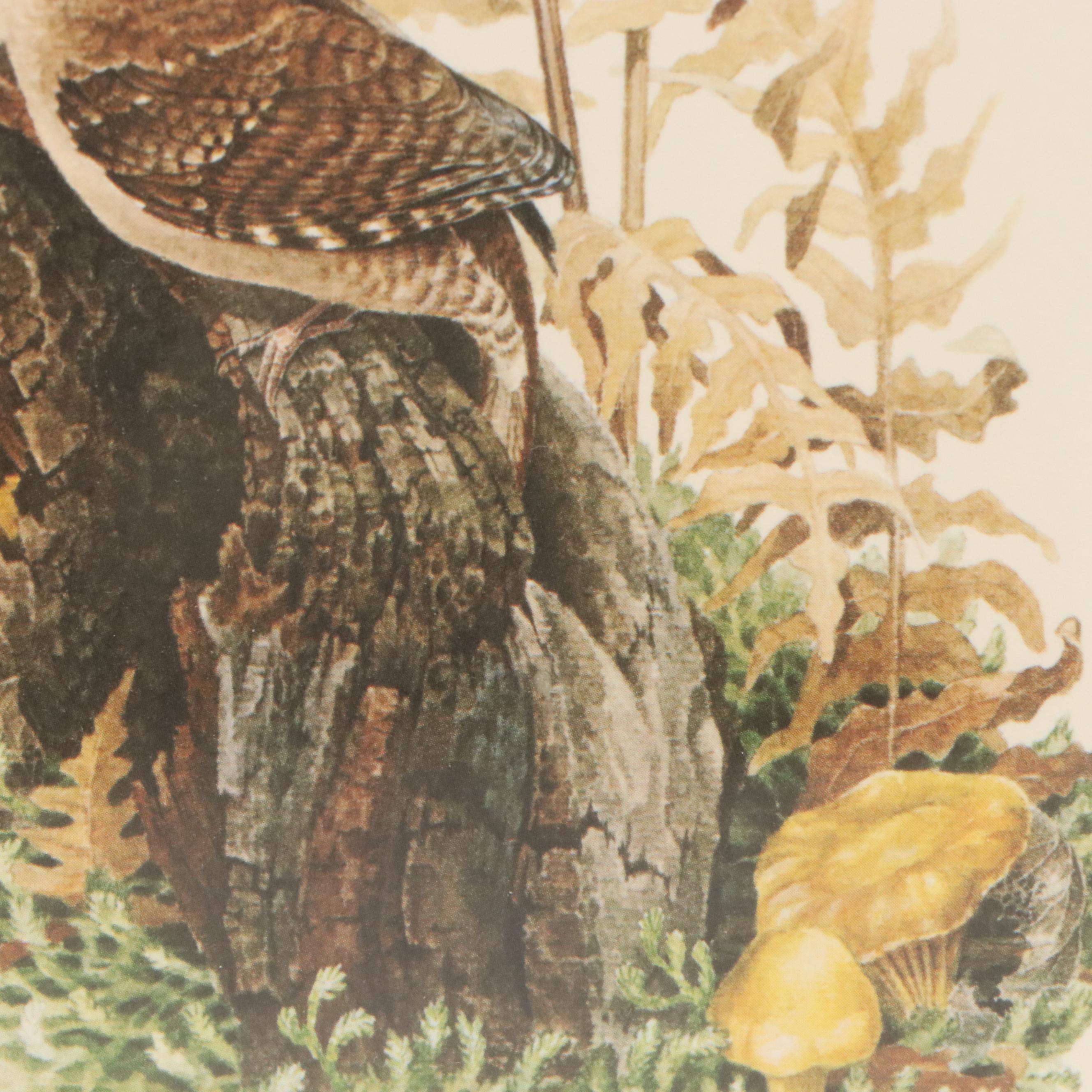 Don Whitlatch Offset Lithograph "House Wren," 1973