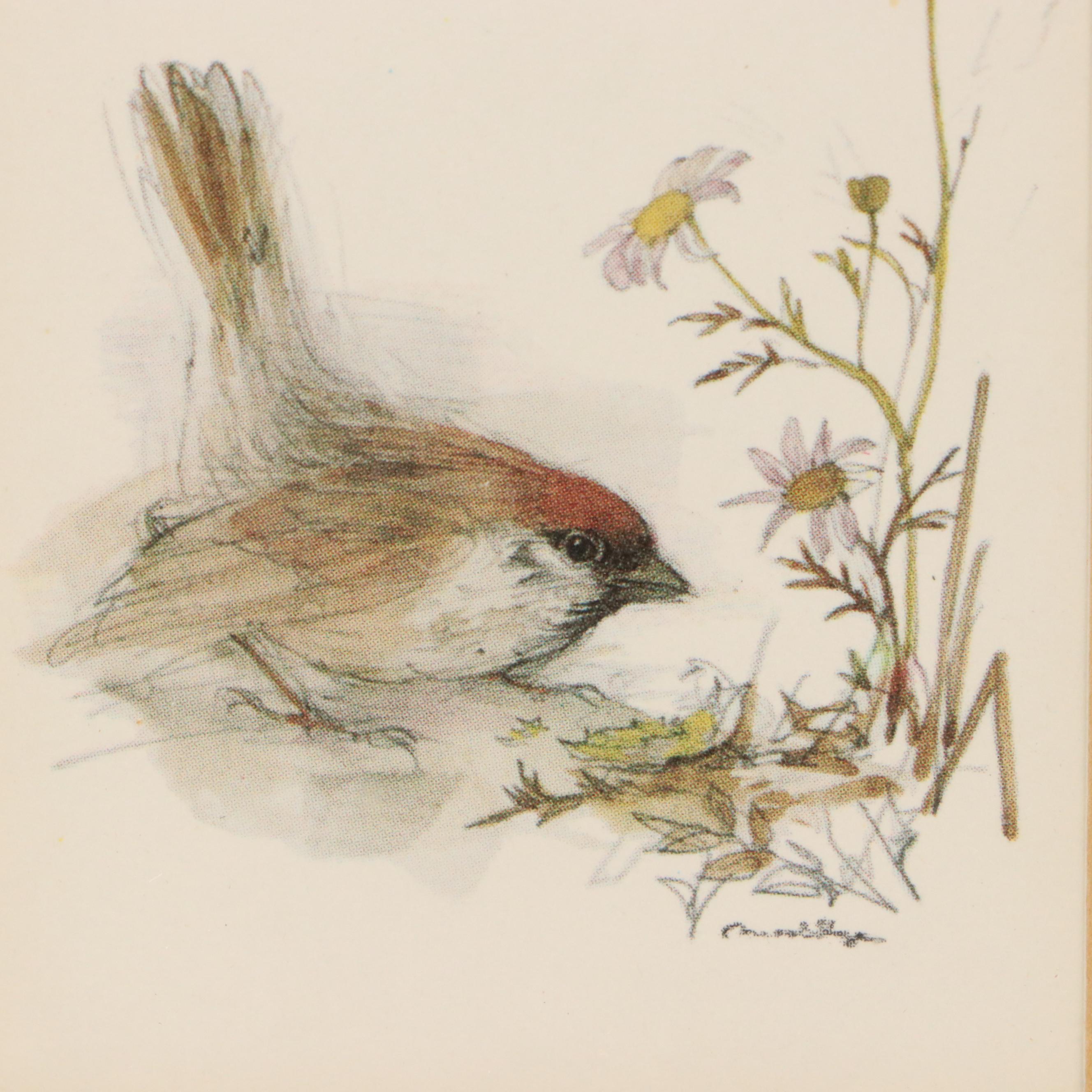 Offset Lithographs of Wildflowers with Bird and Butterfly, Late 20th Century