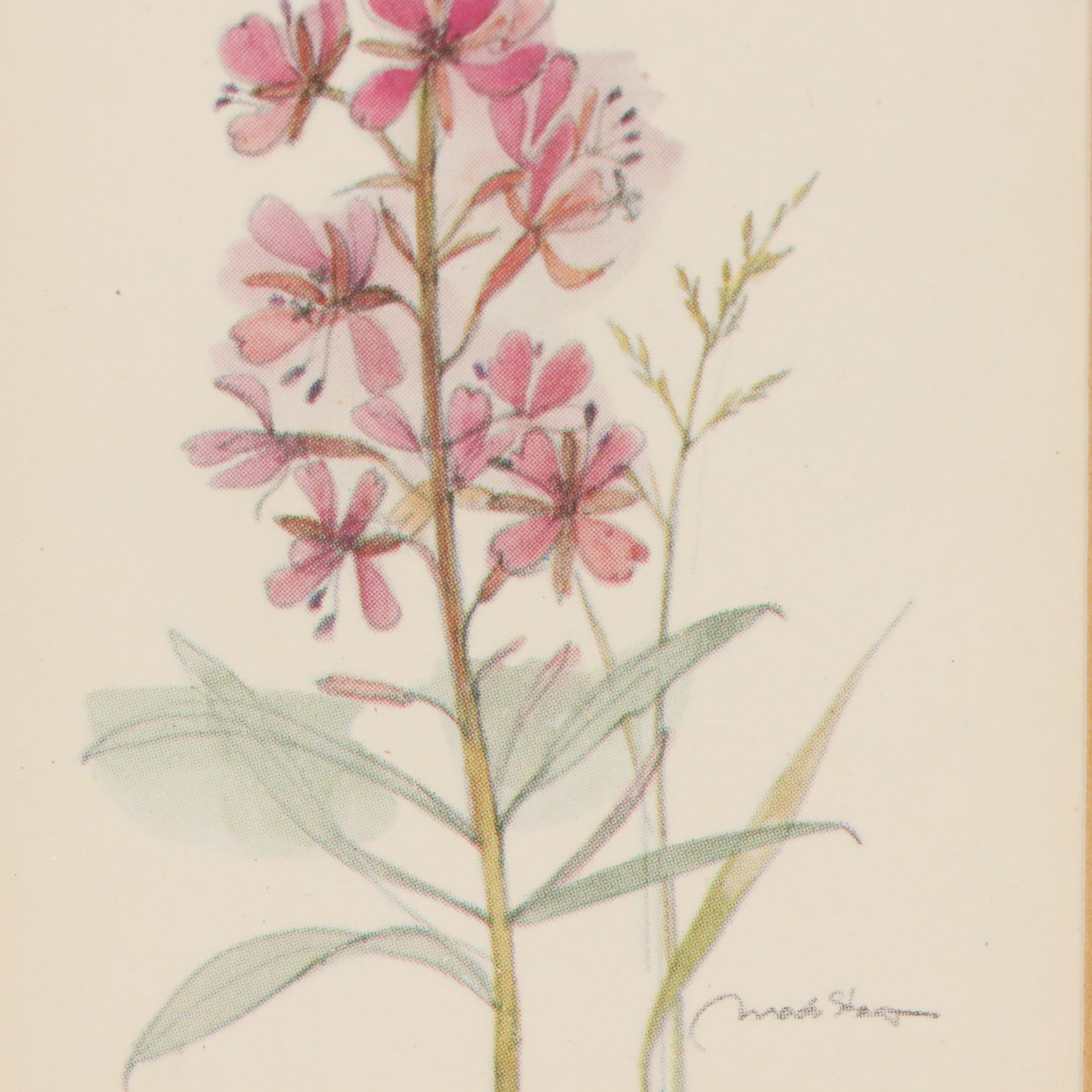 Offset Lithographs of Wildflowers with Bird and Butterfly, Late 20th Century