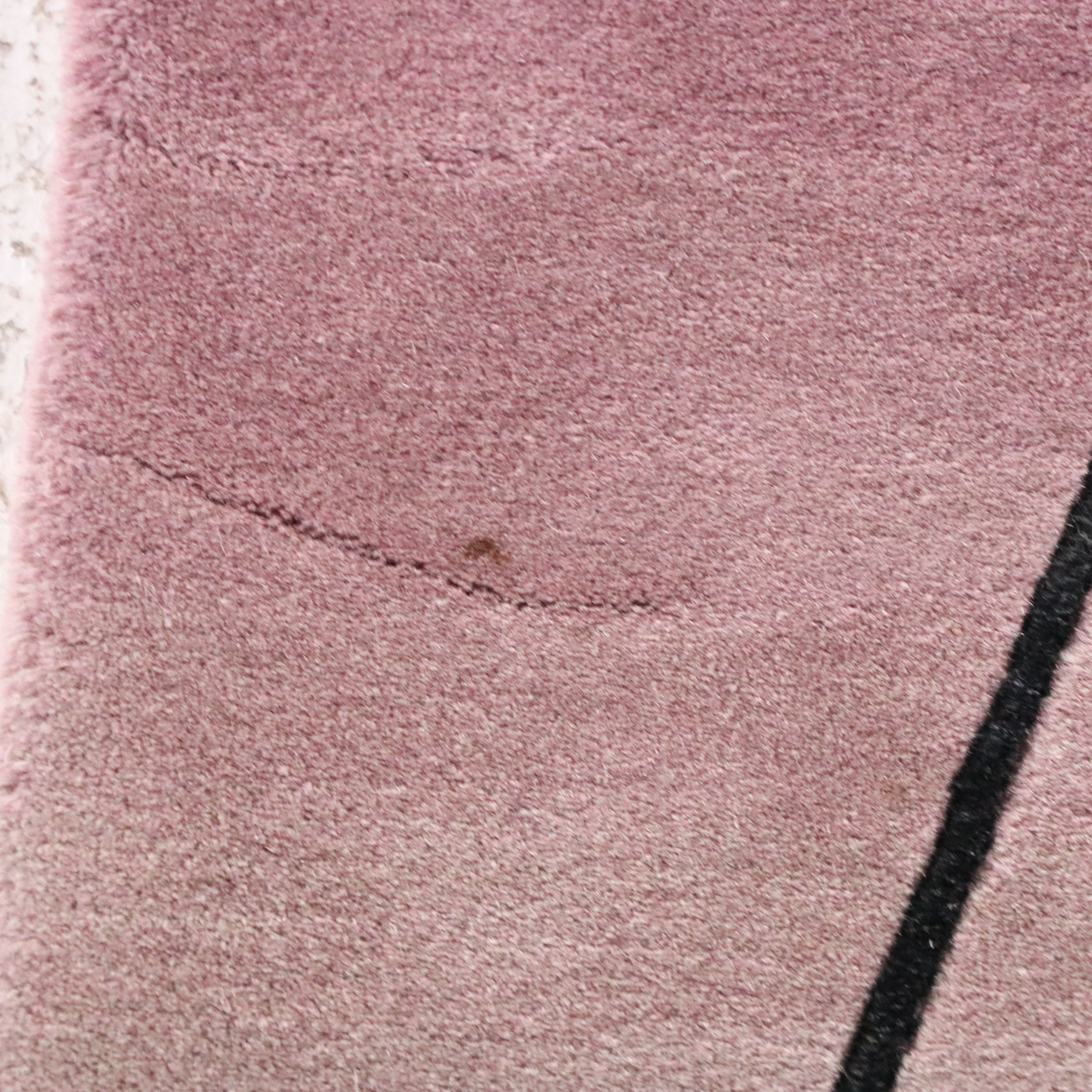 3'8 x 6'4 Hand-Knotted Nepalese Modern Area Rug