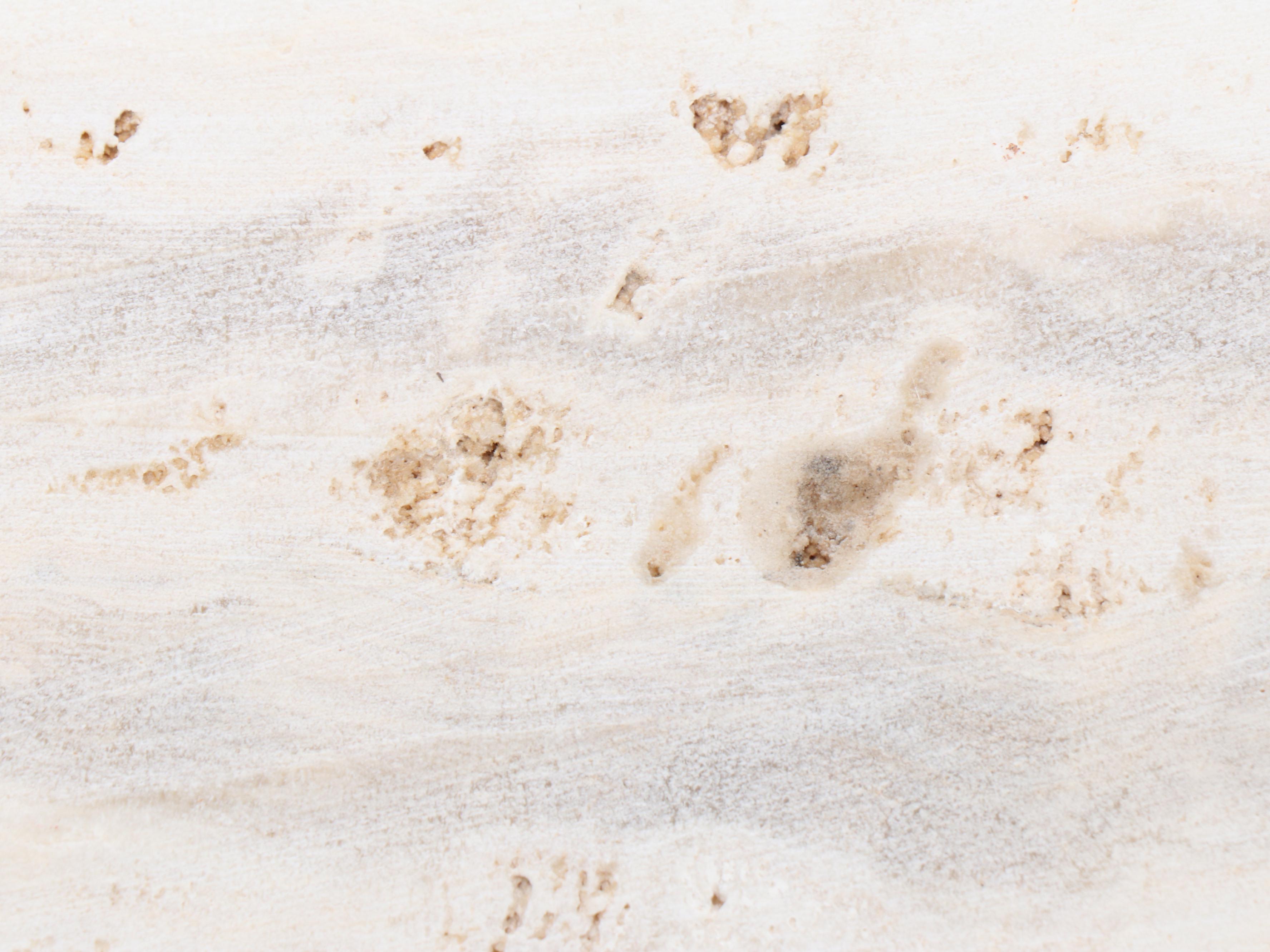 Polished Banded Caclite Trays with Natural Edges