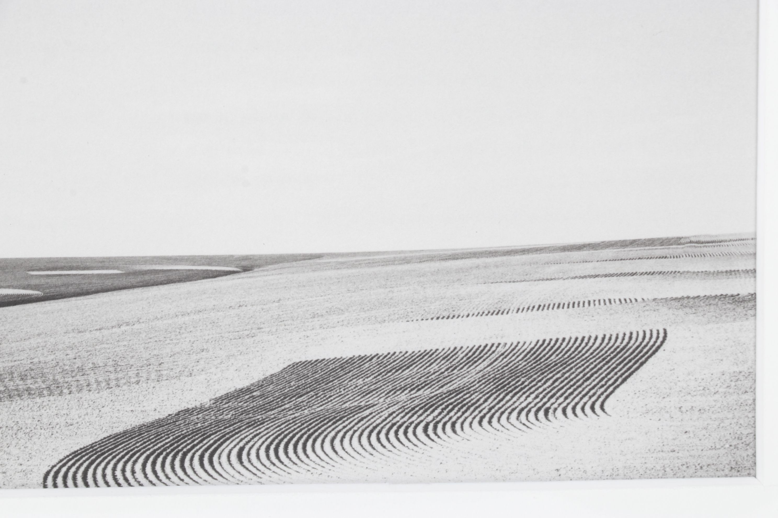 Kevin O'Connell Photolithograph "Power Lines..." from "Strange Genius V"