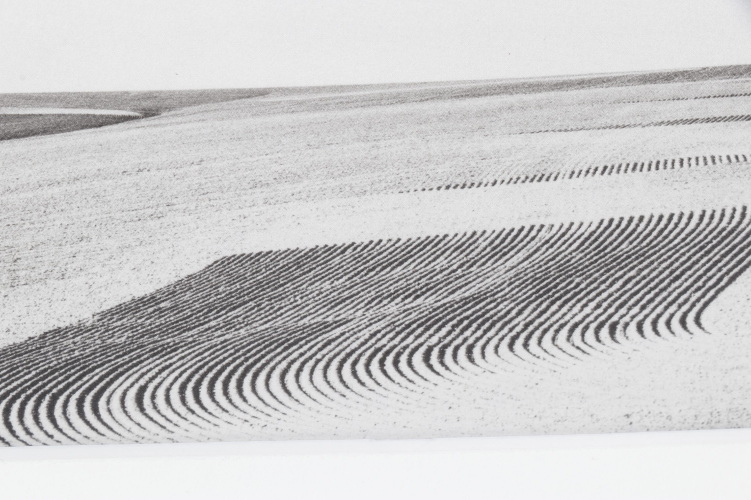 Kevin O'Connell Photolithograph "Power Lines..." from "Strange Genius V"