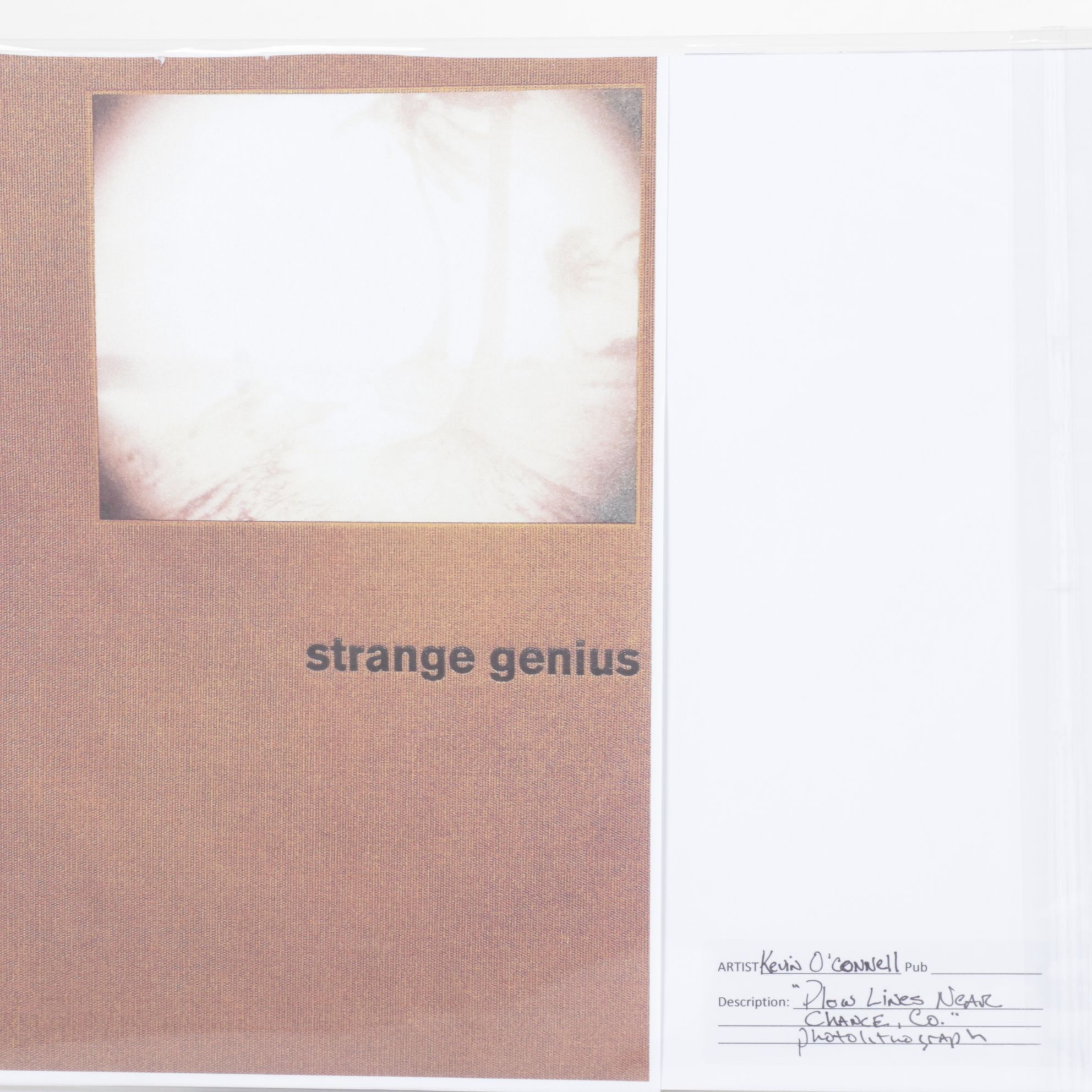 Kevin O'Connell Photolithograph "Power Lines..." from "Strange Genius V"