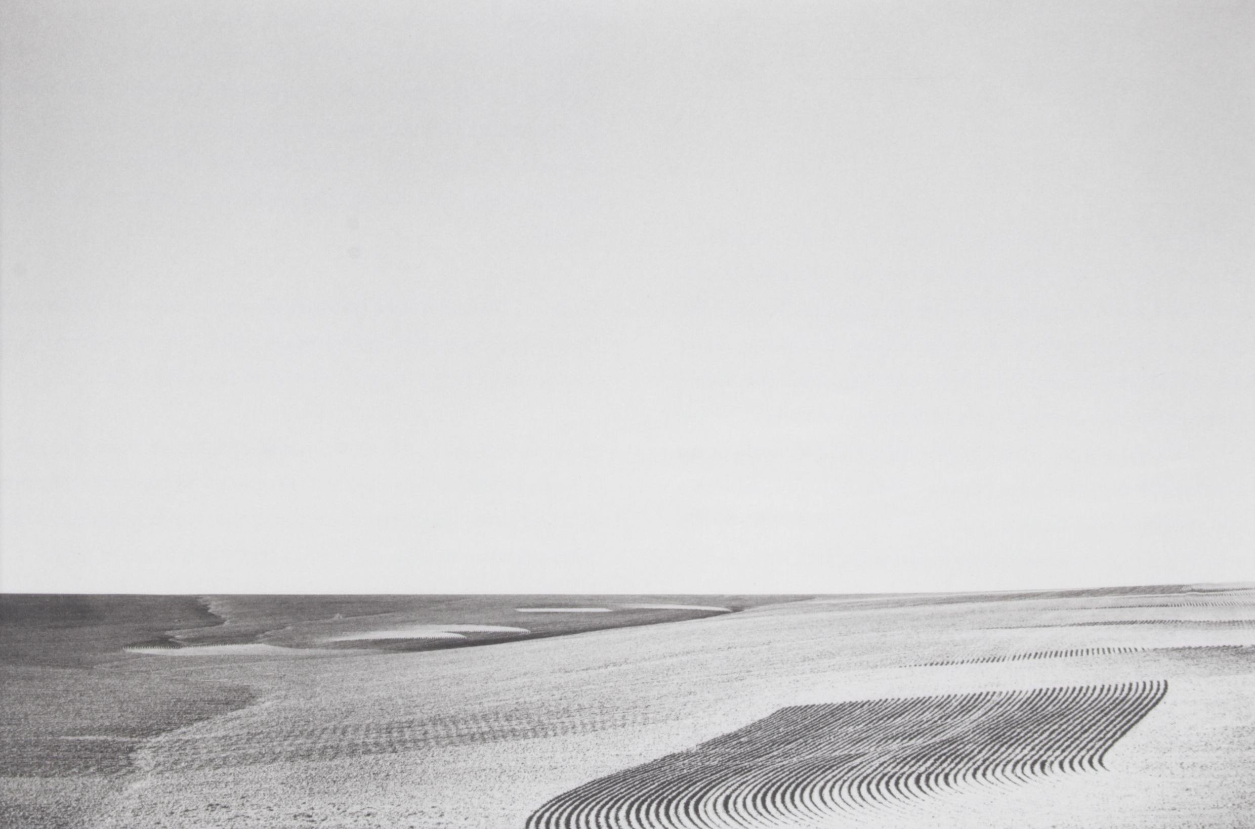 Kevin O'Connell Photolithograph "Power Lines..." from "Strange Genius V"