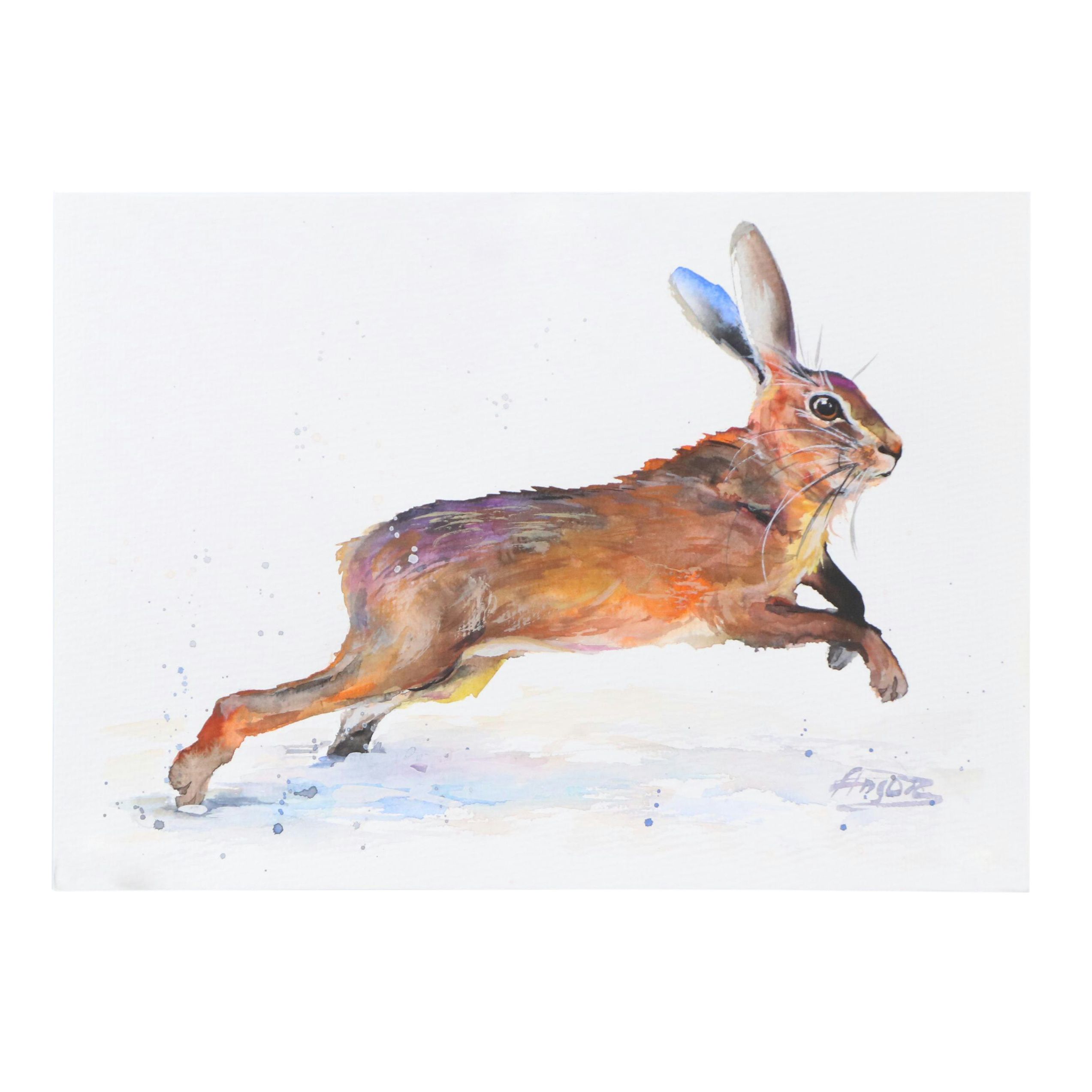 Anne Gorywine Watercolor Painting of Rabbit, 2024