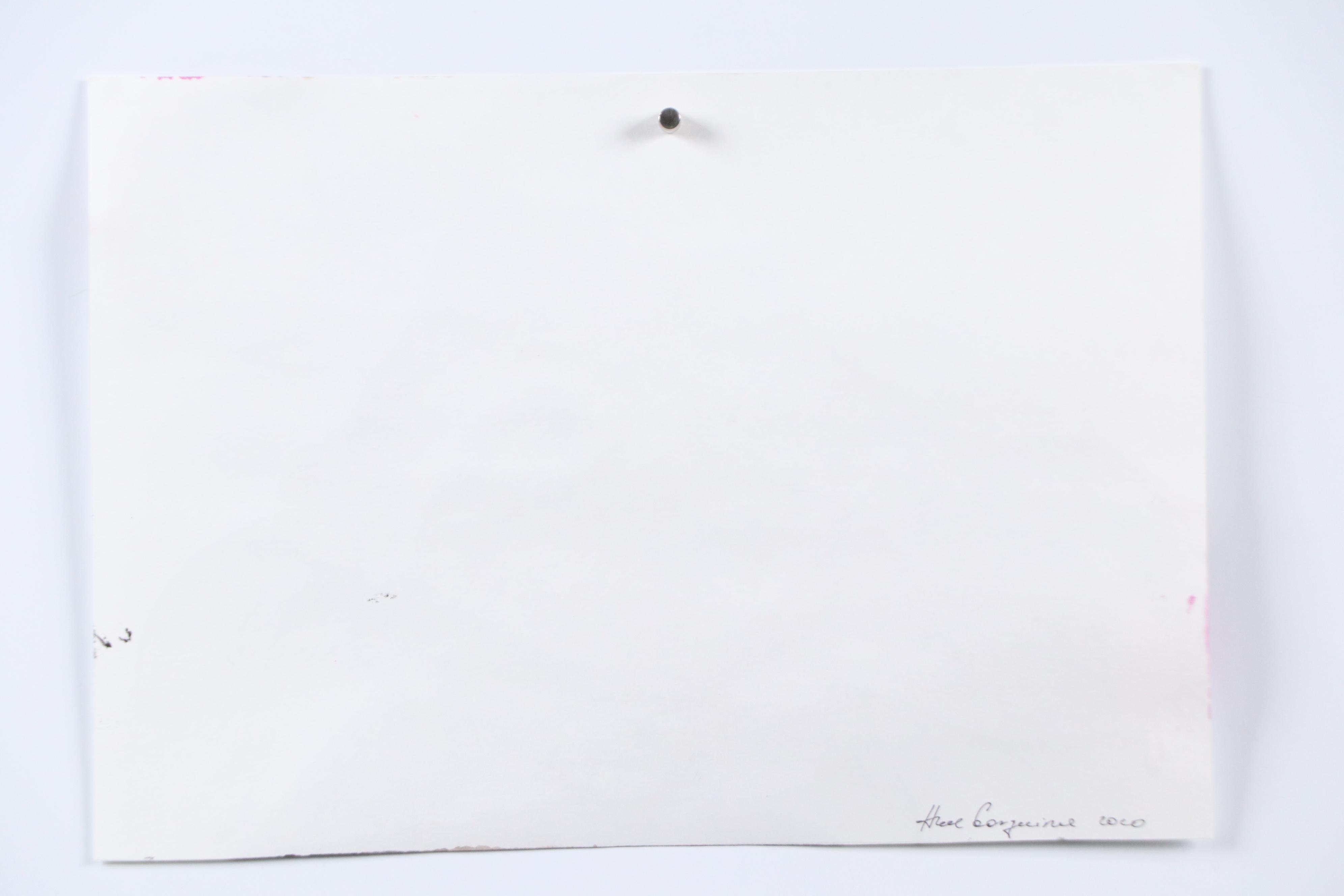 Anne Gorywine Watercolor Painting of Cow, 2020