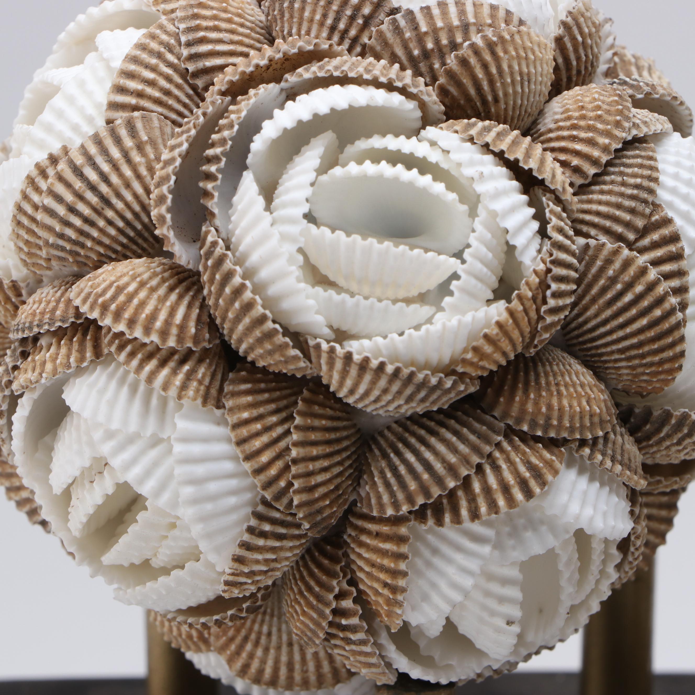 Sanibel Decorative Seashell Orbs