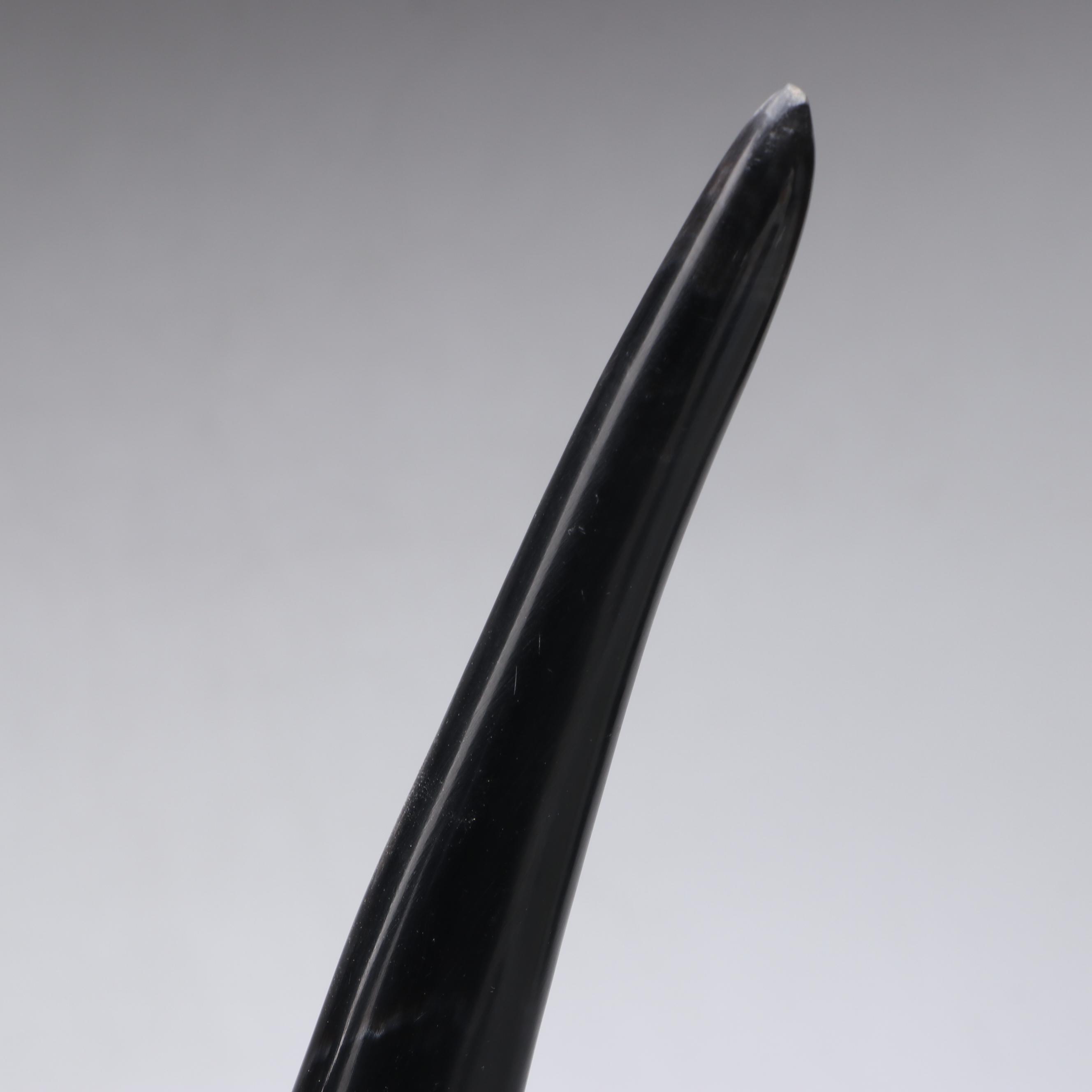 Polished Natural Cattle Horns on Acrylic Stands