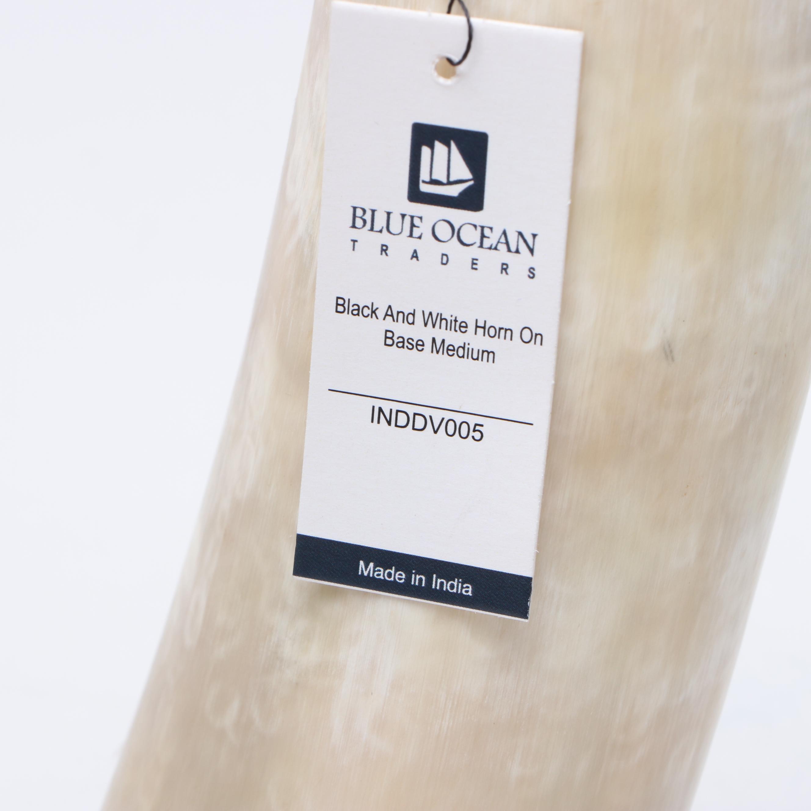 Polished Natural Cattle Horns on Acrylic Stands