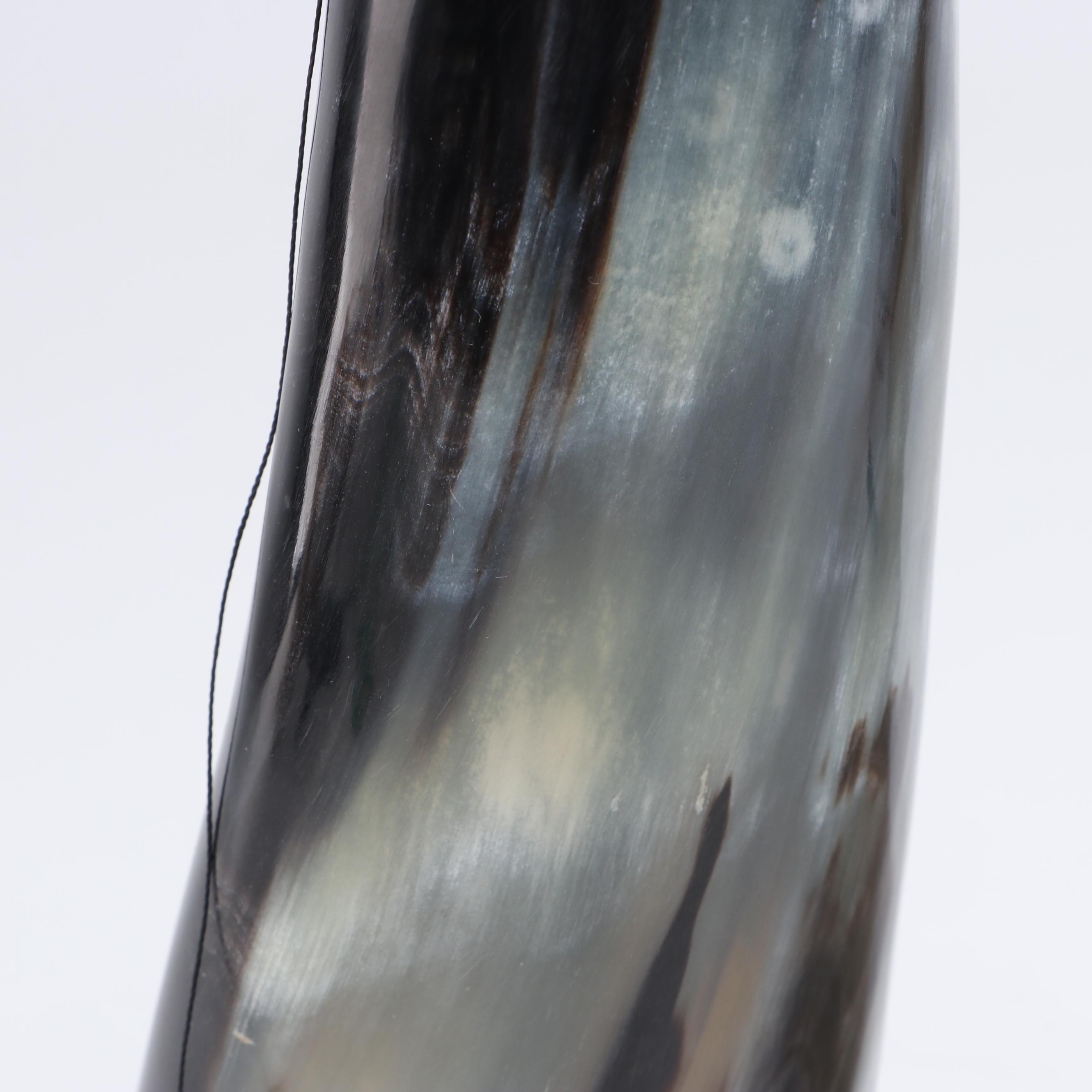 Polished Natural Cattle Horns on Acrylic Stands