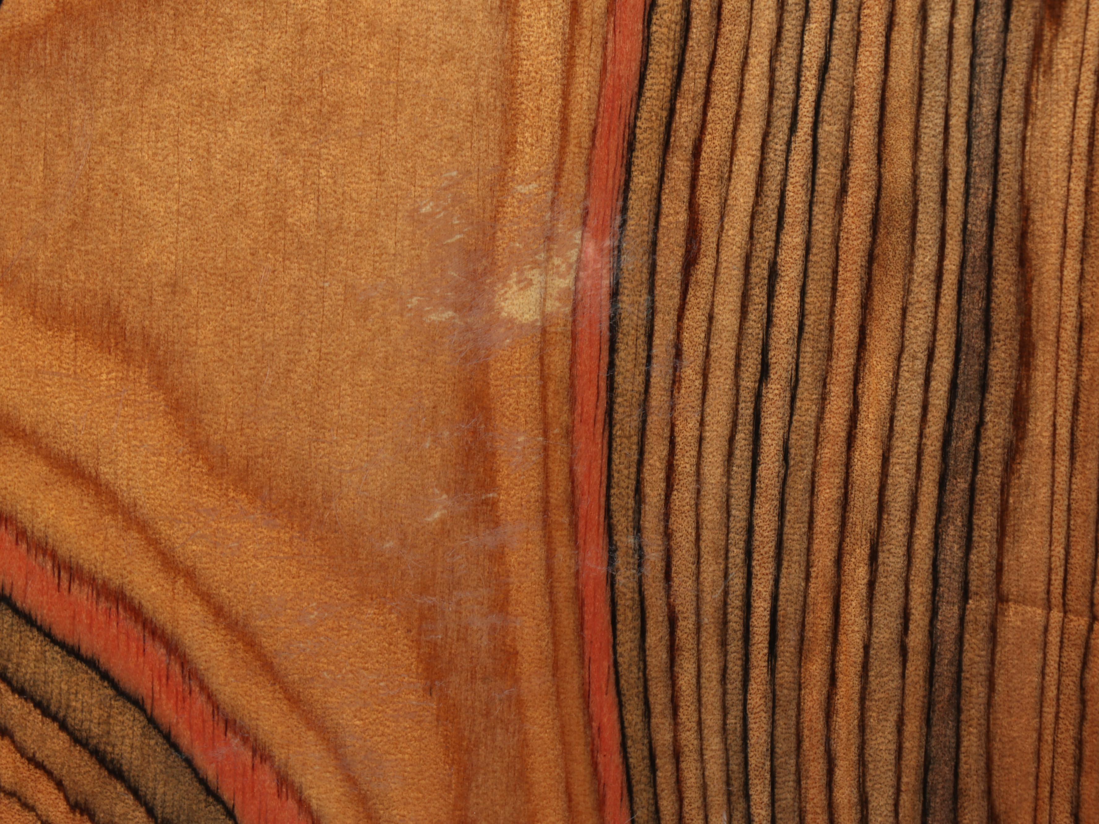 Spanish Classical Acoustic Guitar