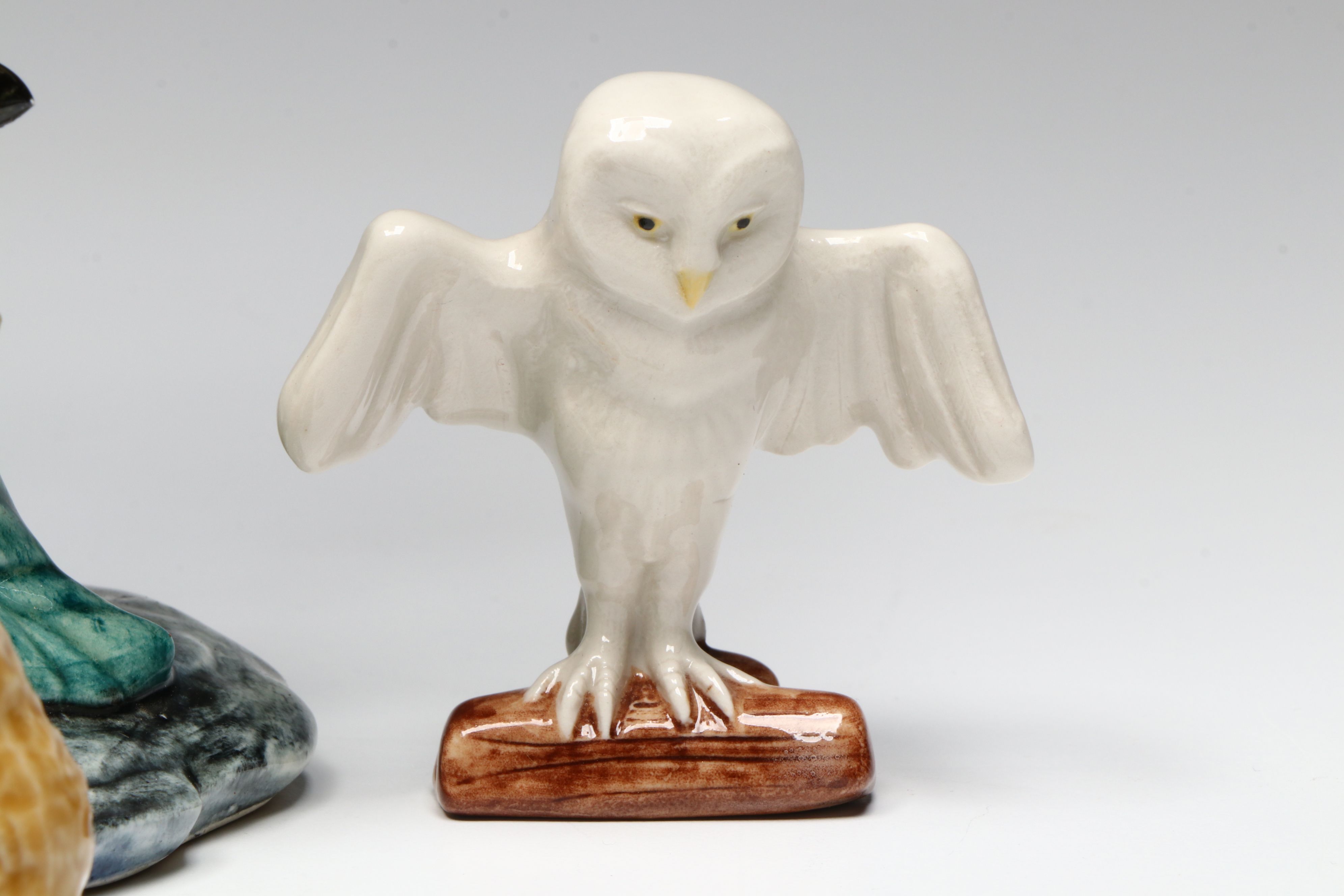 Beswick Wall Palques with Wade Whimsies and Other Ceramic Bird Figurines