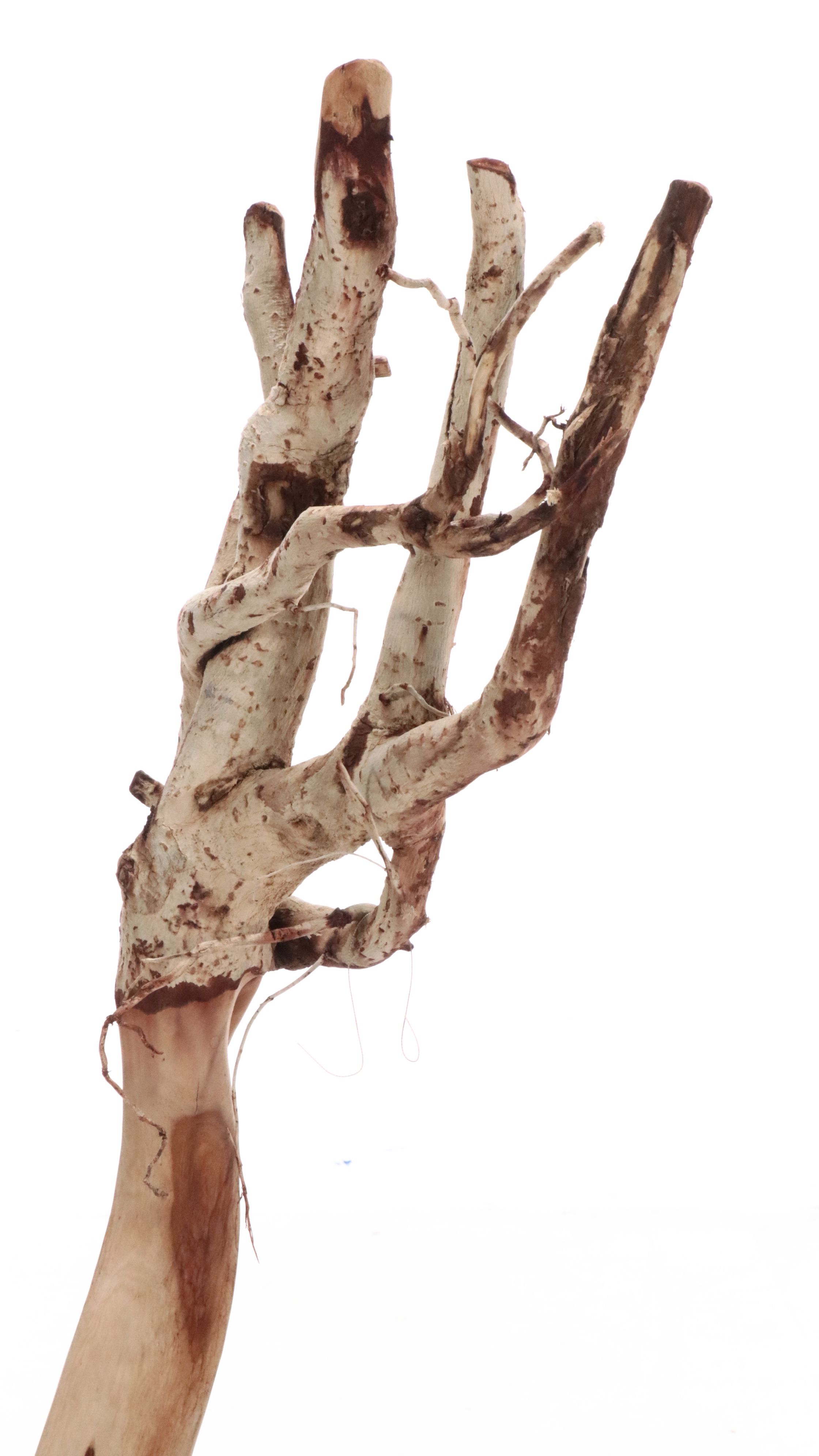 Abstract Partially Carved Wood Sculpture on Metal Base