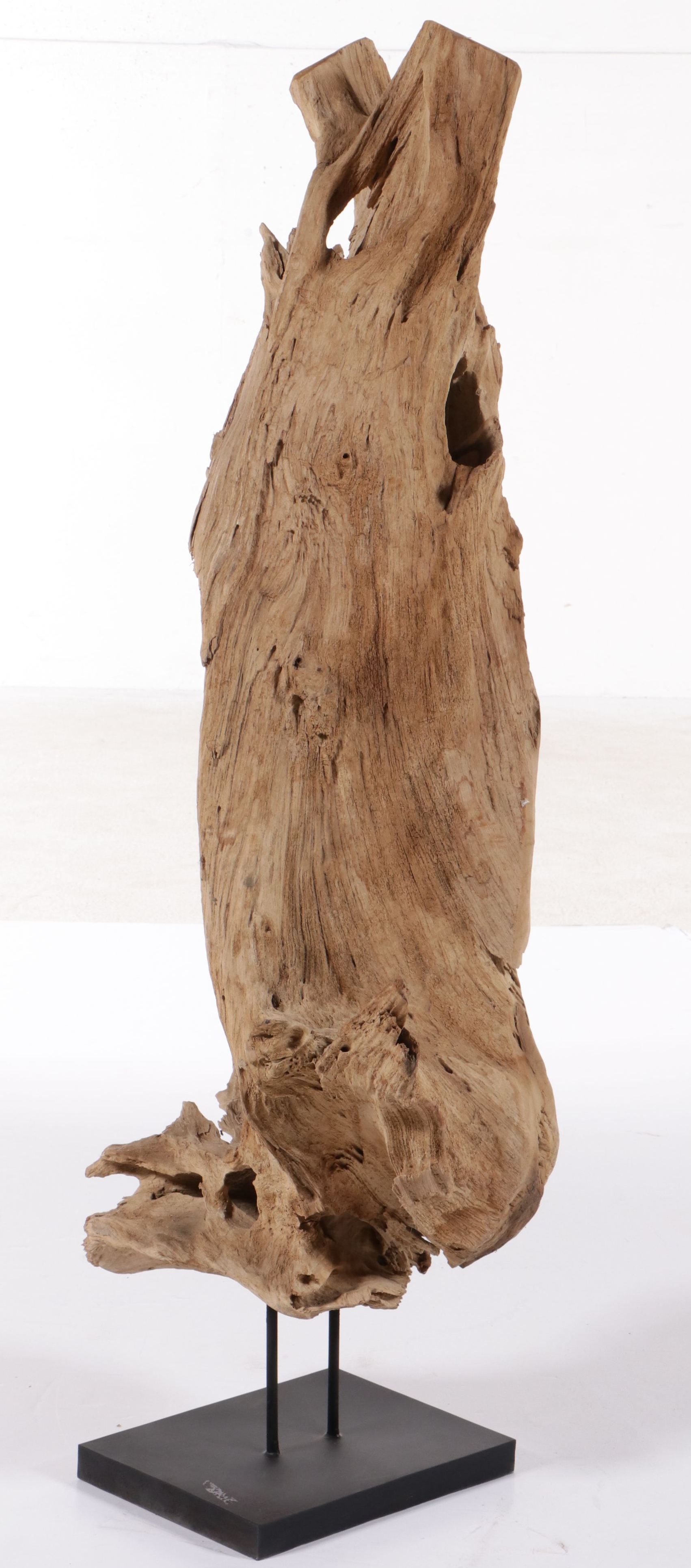 Large Cedar Driftwood Specimen