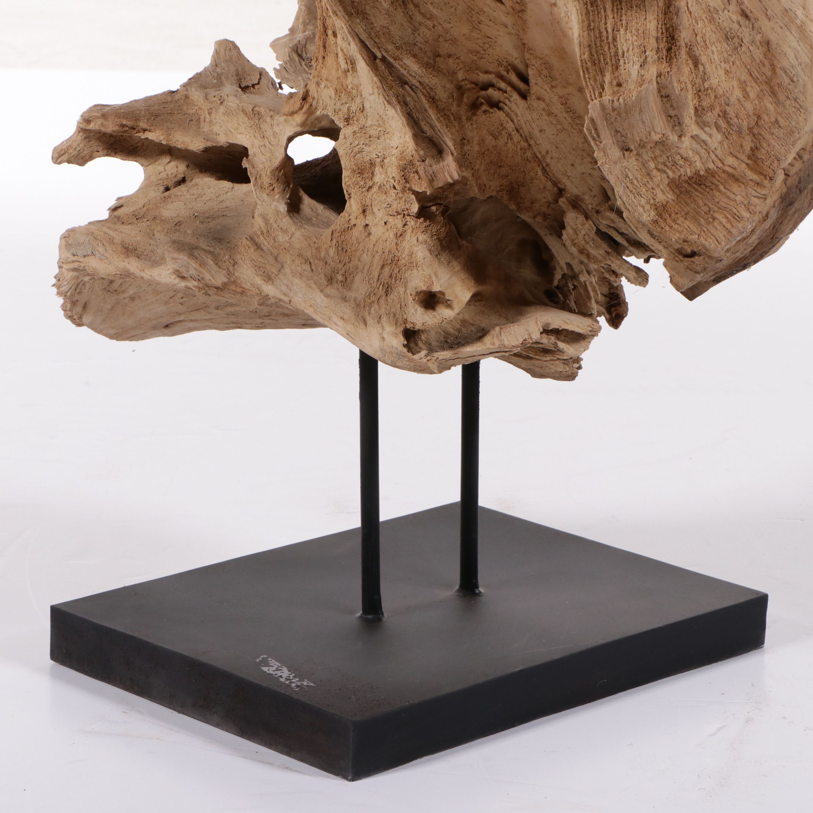 Large Cedar Driftwood Specimen