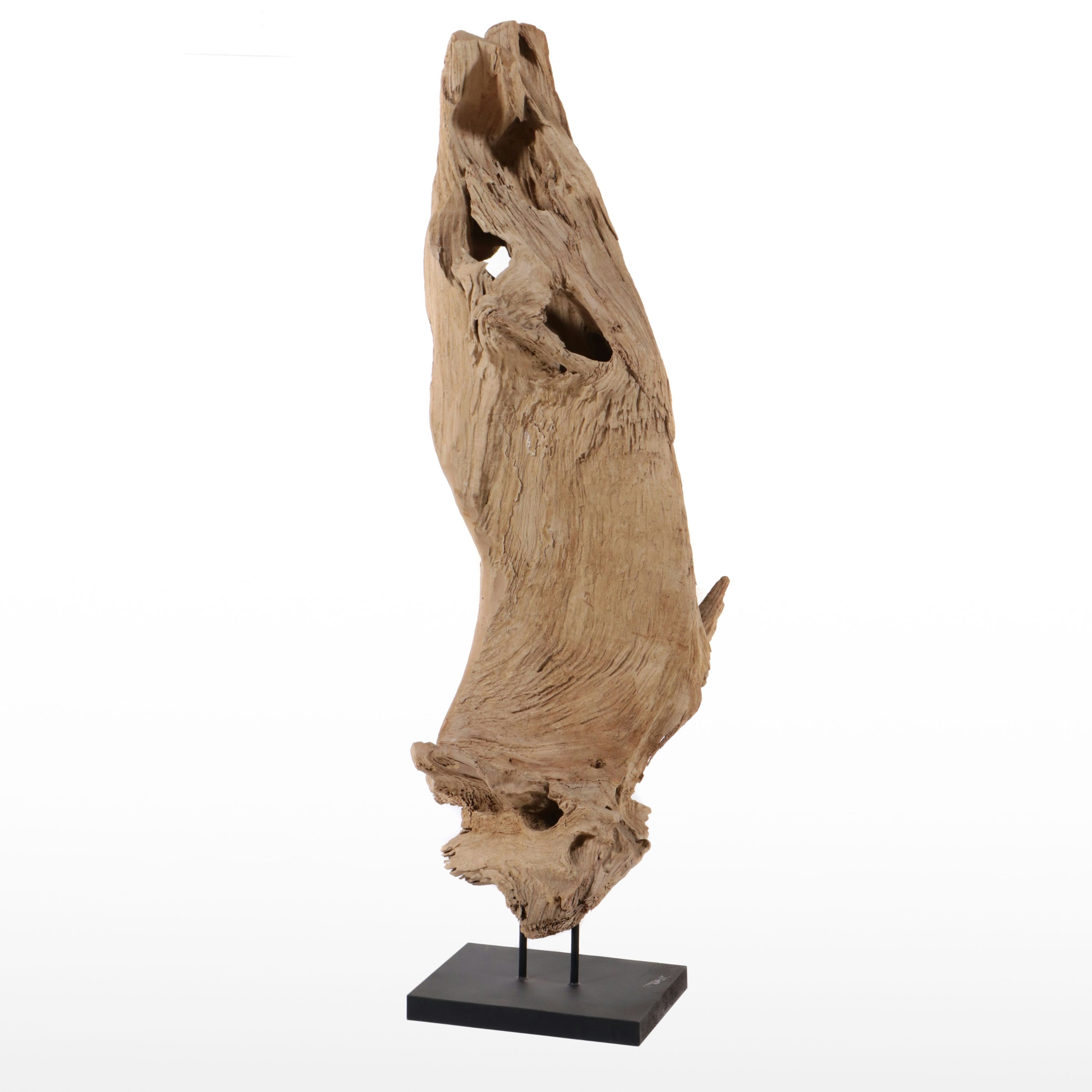 Large Cedar Driftwood Specimen