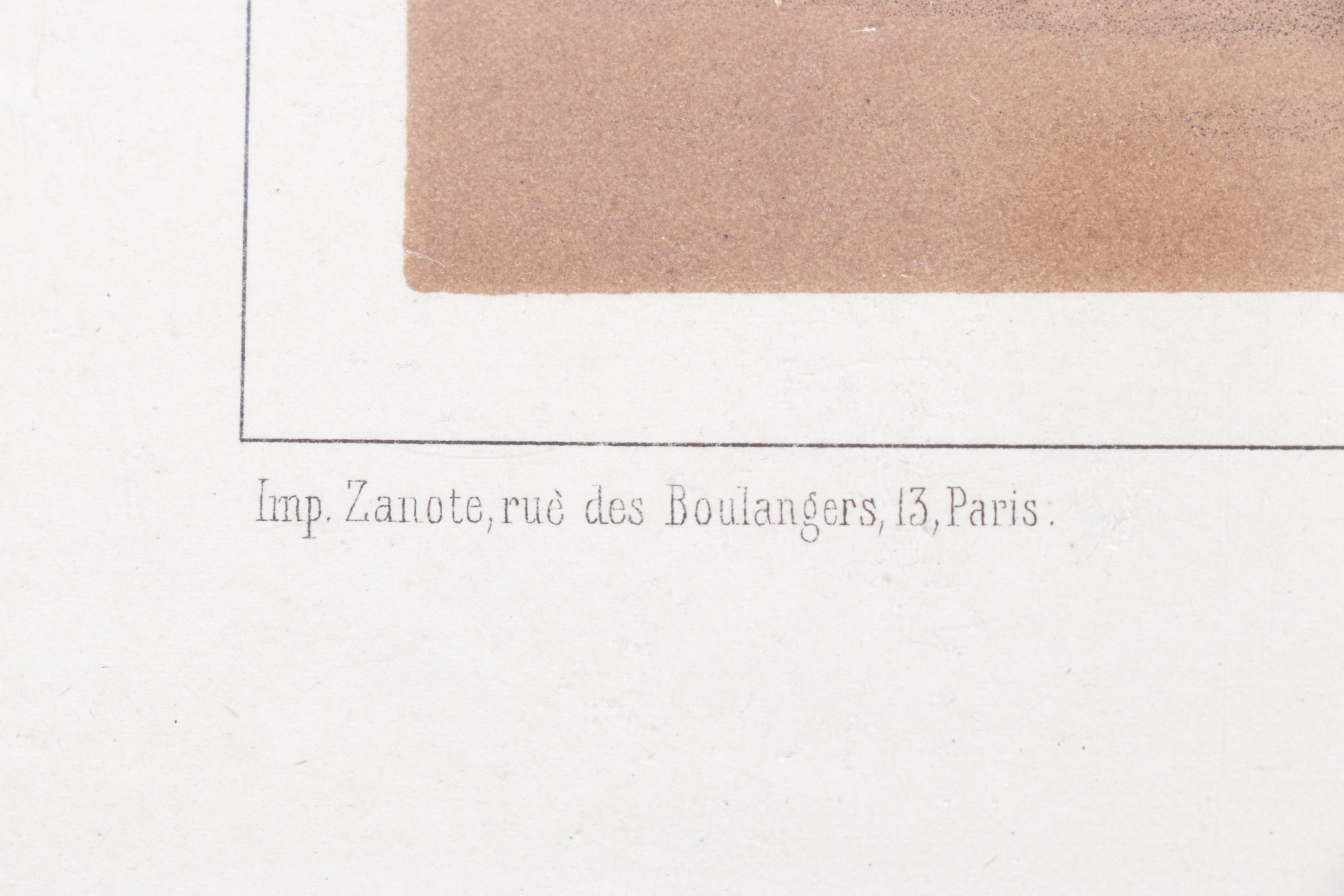 Charles Olivier de Penne Hand-Colored Lithographs of French Bovines, 1863