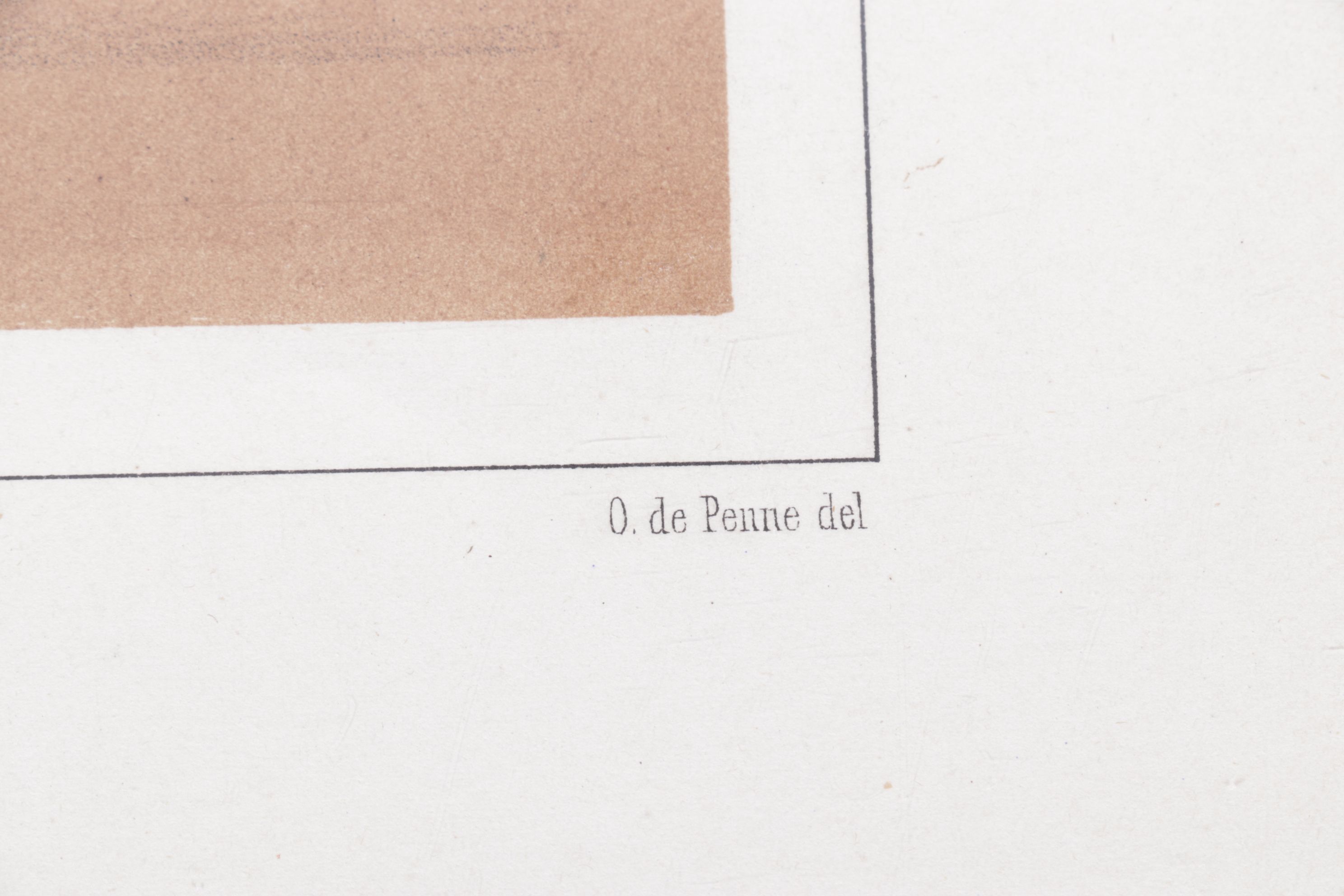 Charles Olivier de Penne Hand-Colored Lithographs of French Bovines, 1863